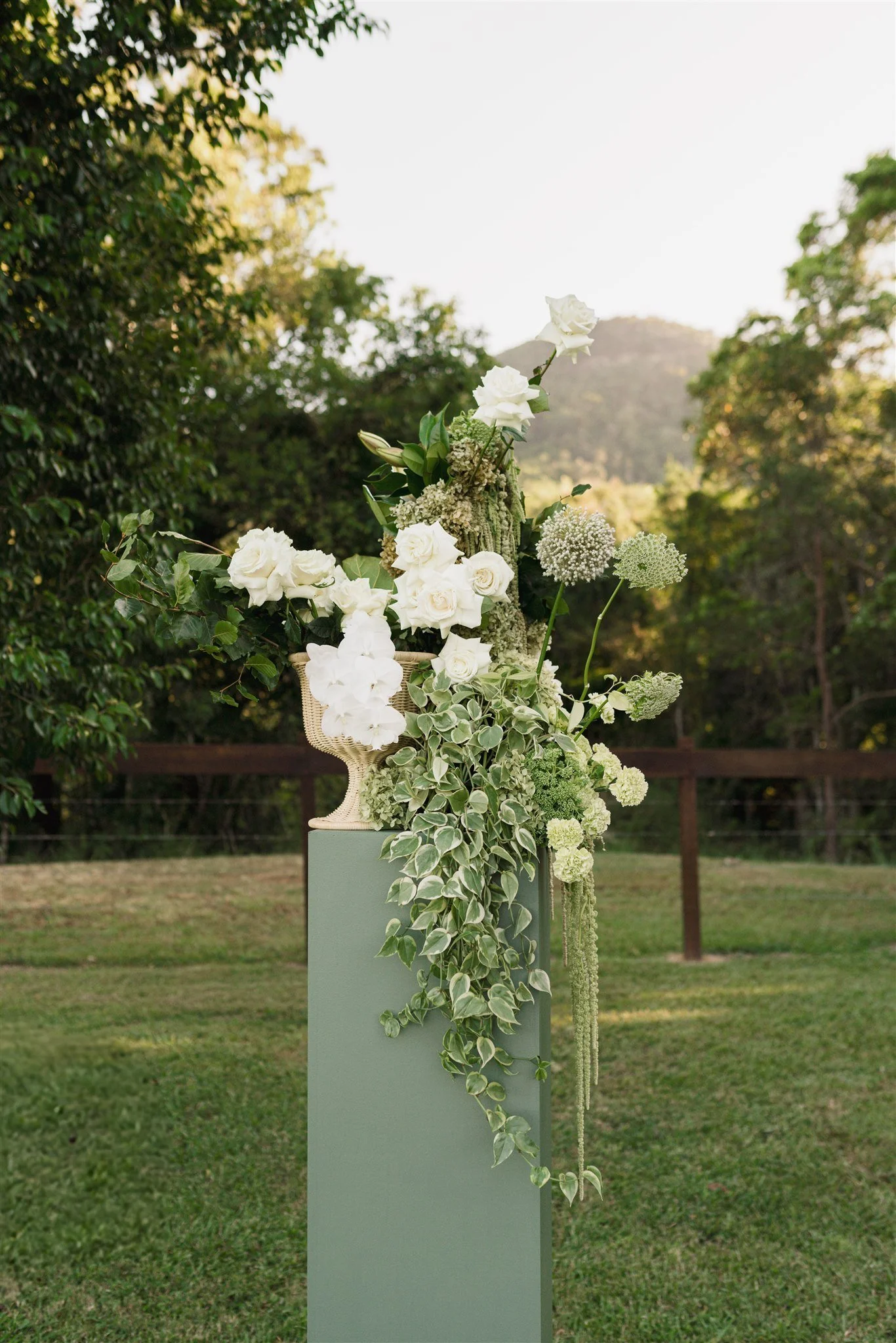 Eerwah Vale Estate Open Day-204.jpg