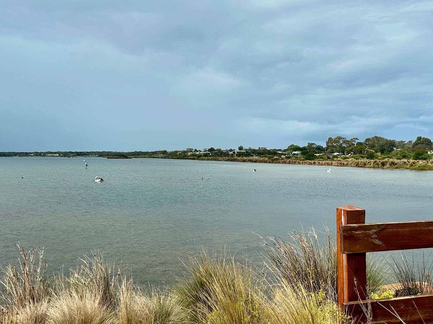 ::site inspection for new a home design. Stay tuned for this coastal cosy home in a beautiful location, literally a stone&rsquo;s throw away from the water.
.
.
.
#buildingdesign #buildingdesigner #bellarinebuilder #bellarinepeninsula #coastalhome #q