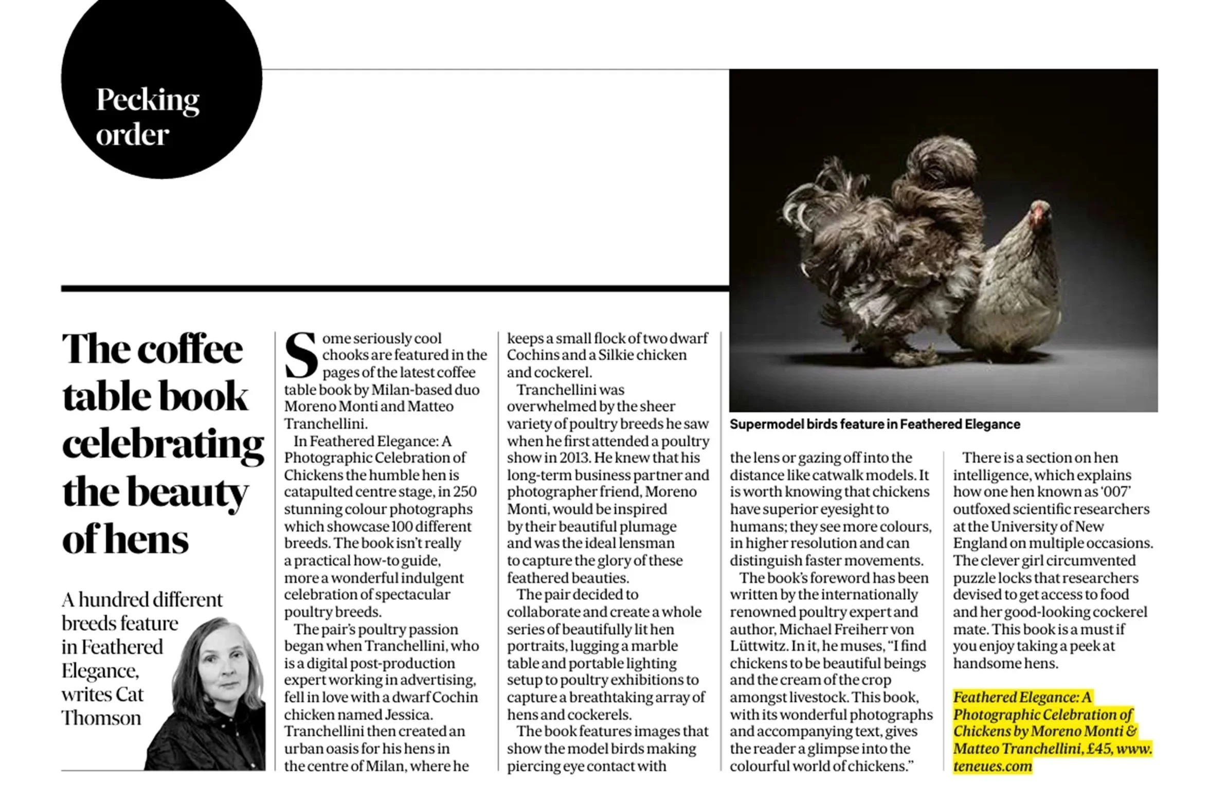 Scotsman Magazine Peking order hen column 6th March 2026