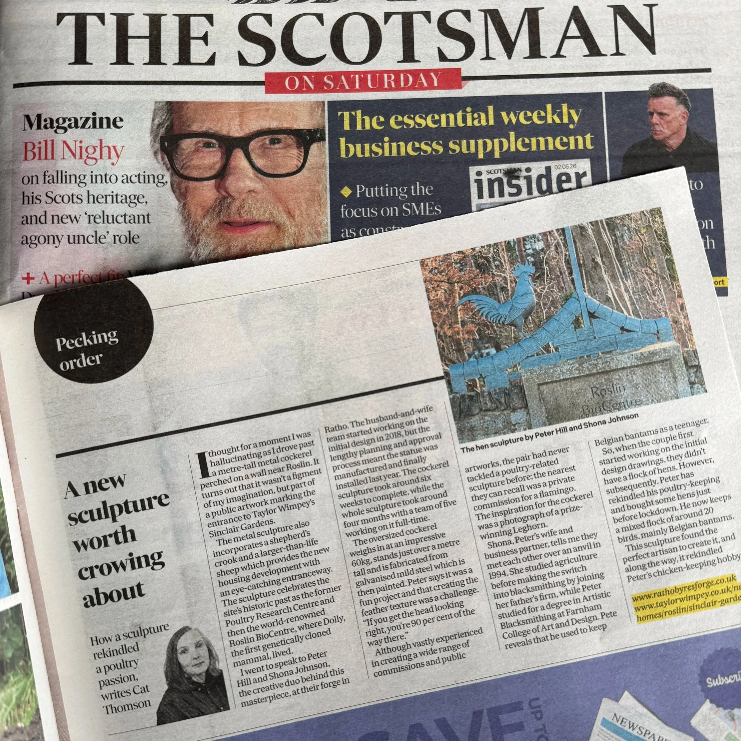 Scotsman Magazine Peking order hen column 2nd May 2026