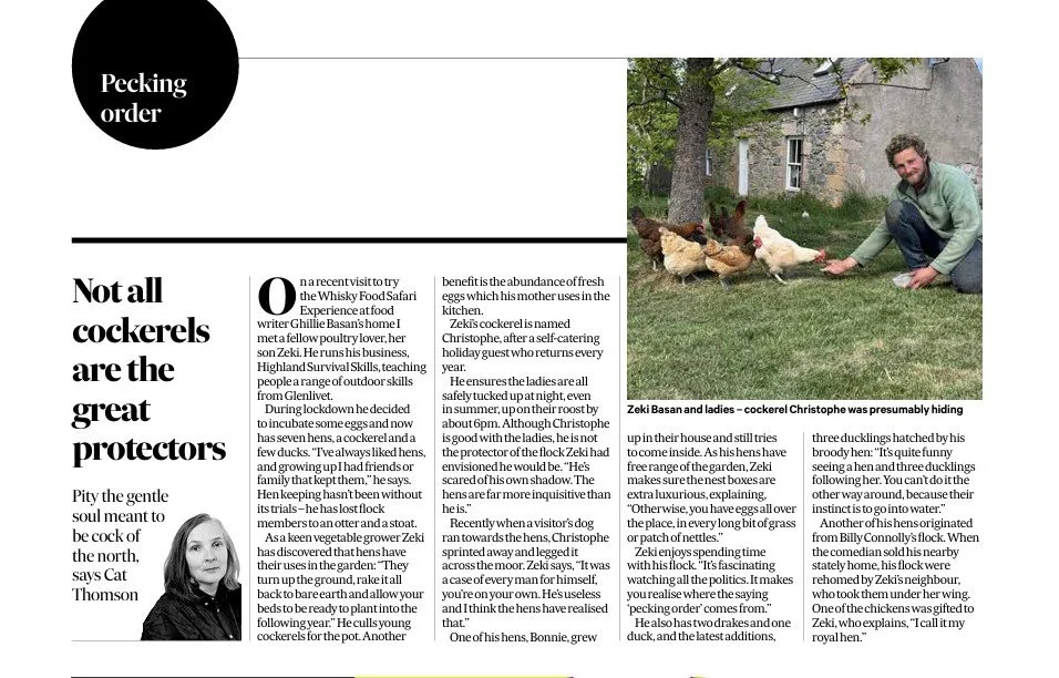 Scotsman Magazine Peking order hen column 25 July 2025