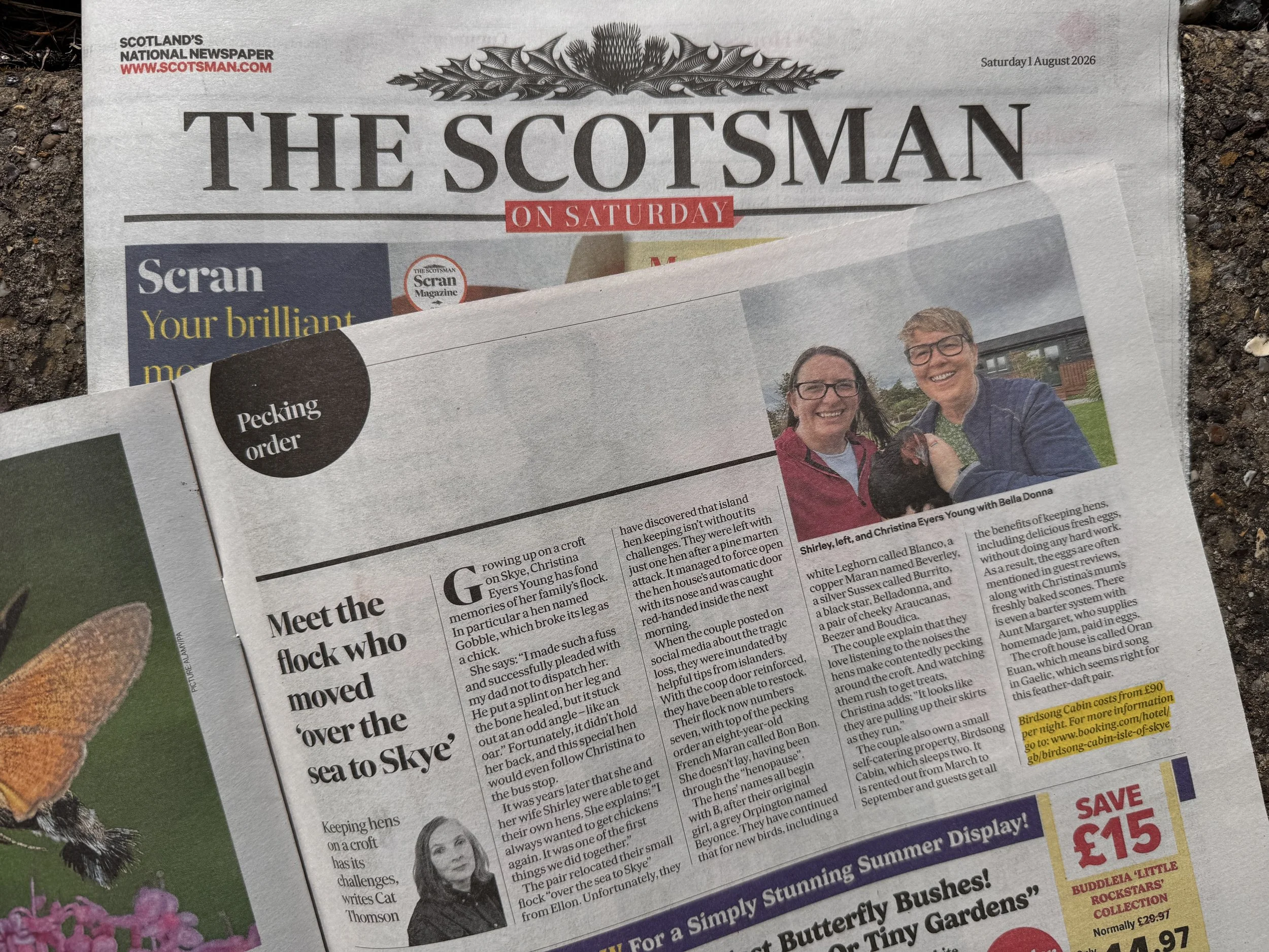 Scotsman Magazine Pecking order hen column 1st August 2026