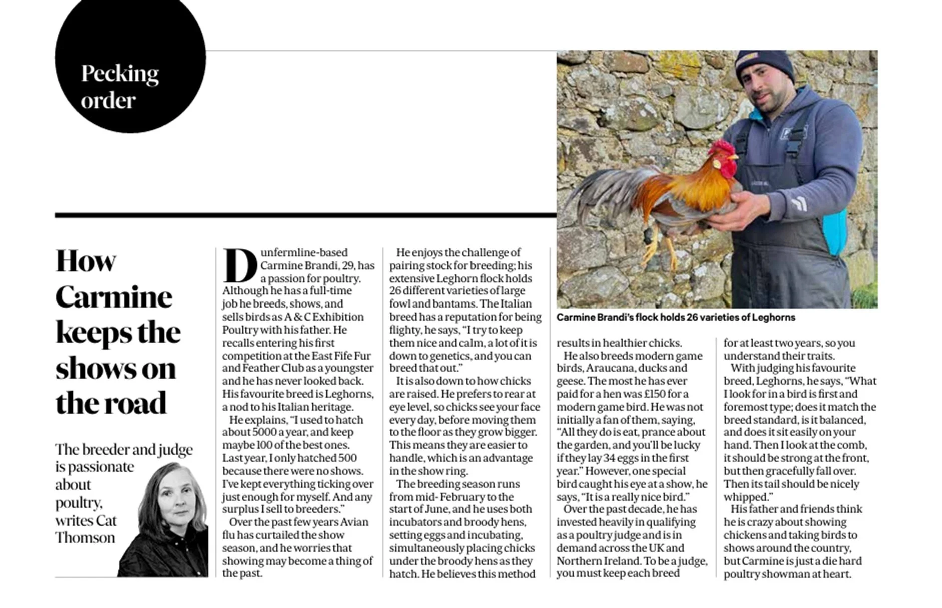 Scotsman Magazine Peking order hen column 4th April 2026