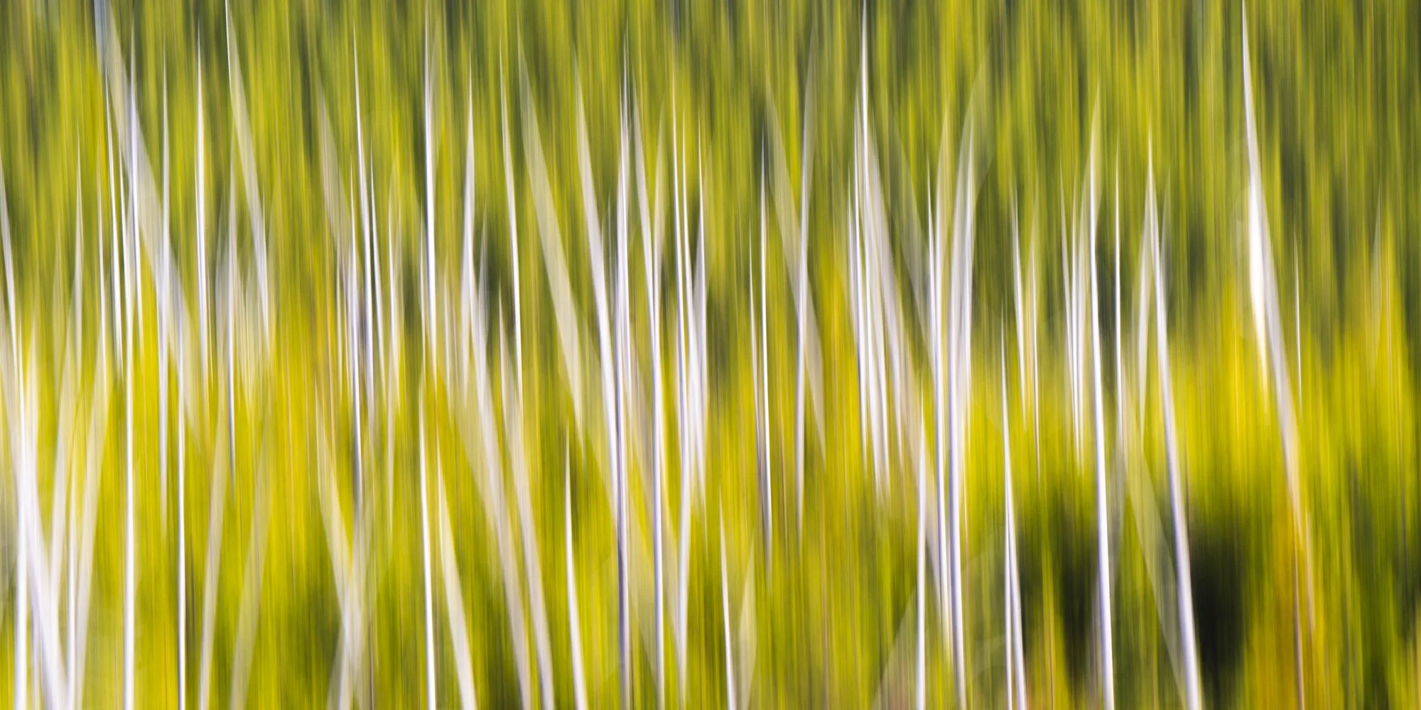 2024-04-23 Yellowstone-4788.jpg