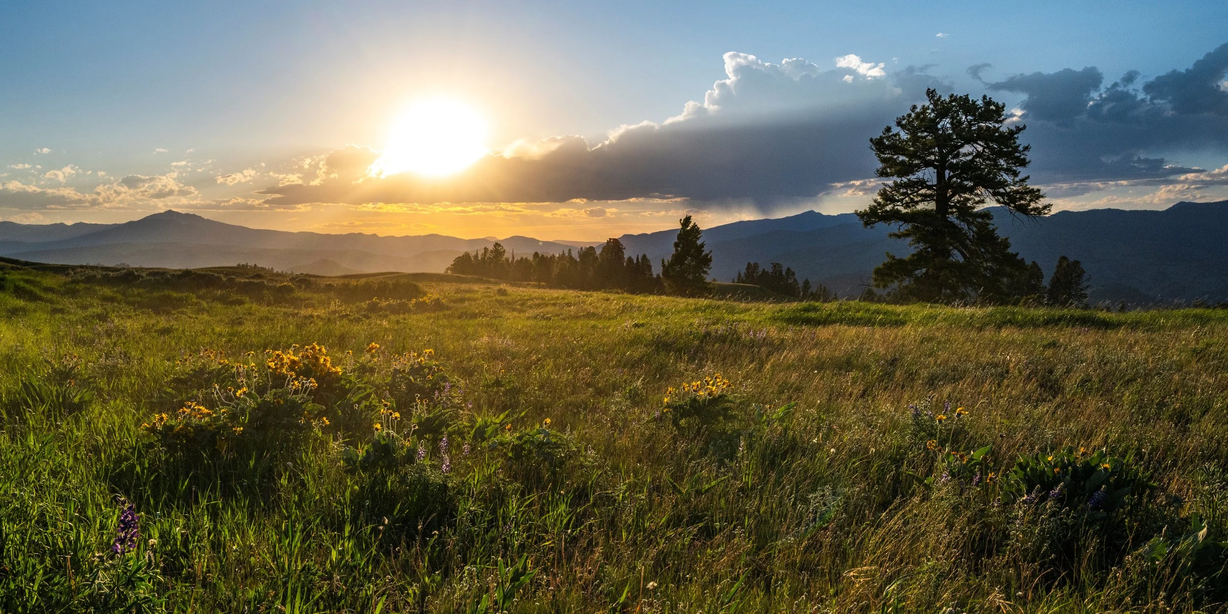 2024-06-23 Yellowstone-8681.jpg