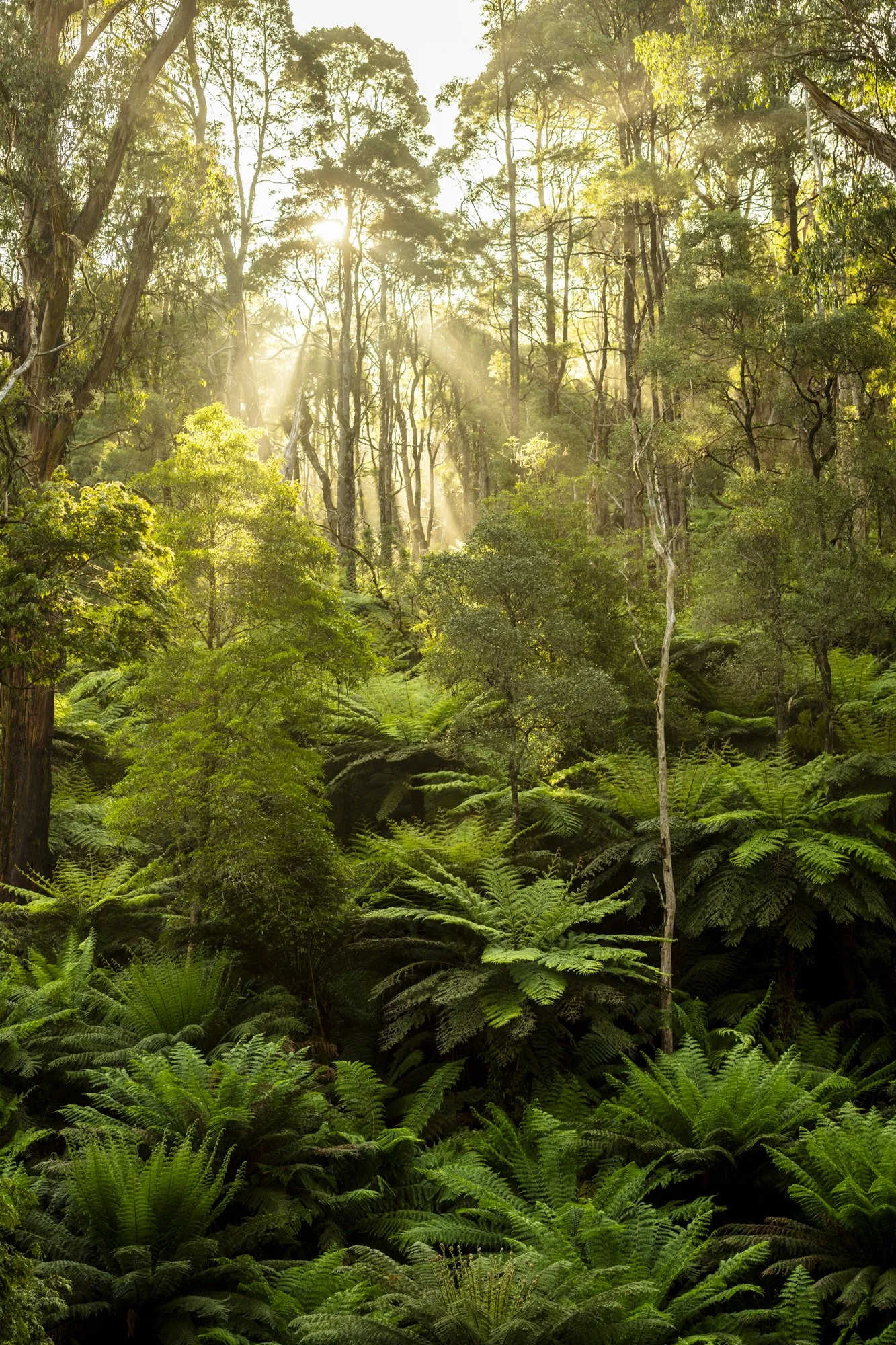 2023-12-06 Australia-0230-Pano.jpg