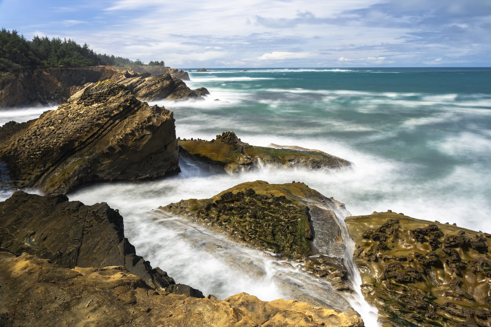 2024-04-07 Shore Acres-0529.jpg