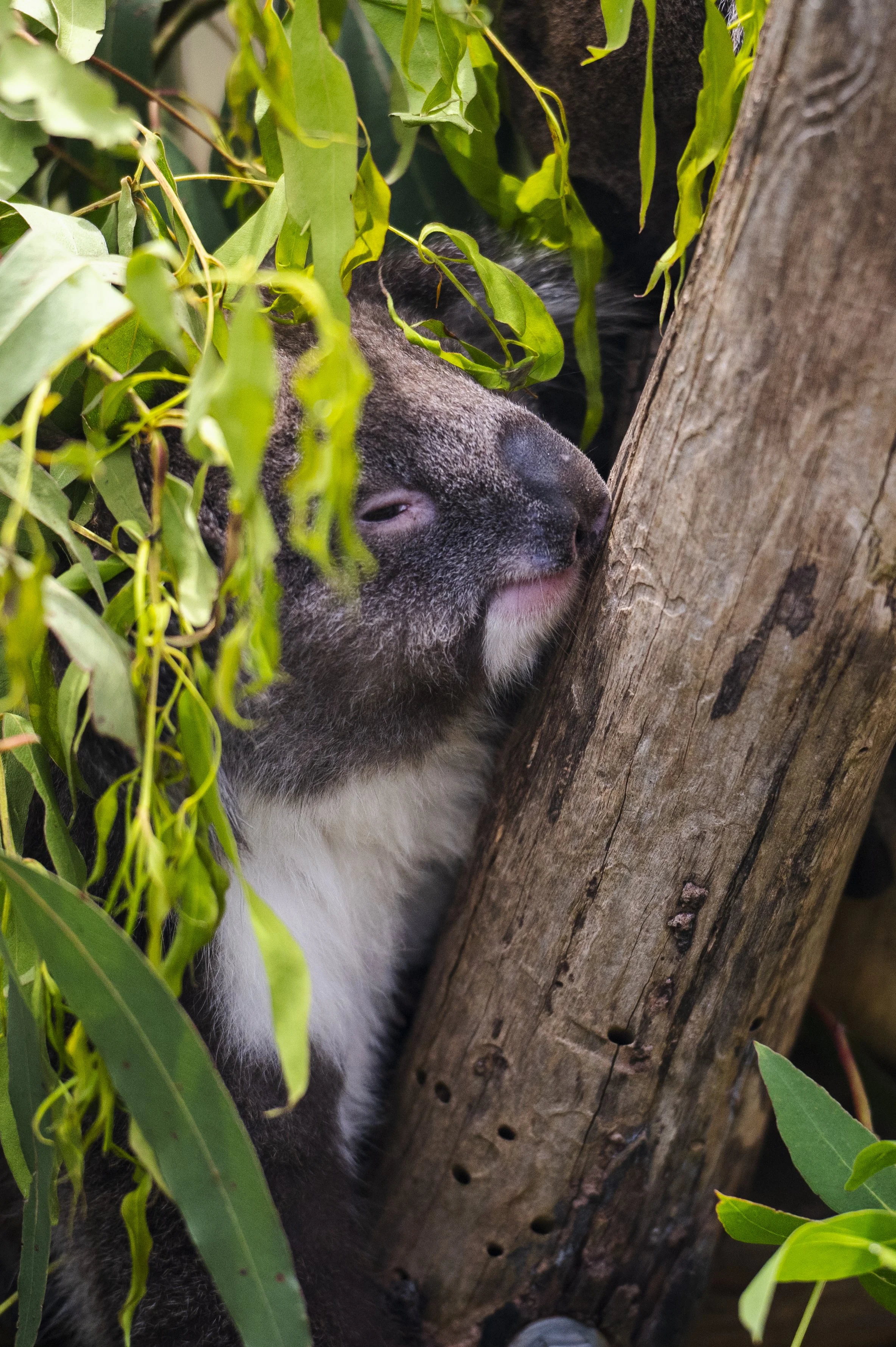 2023-12-04 Day 1-8960.jpg