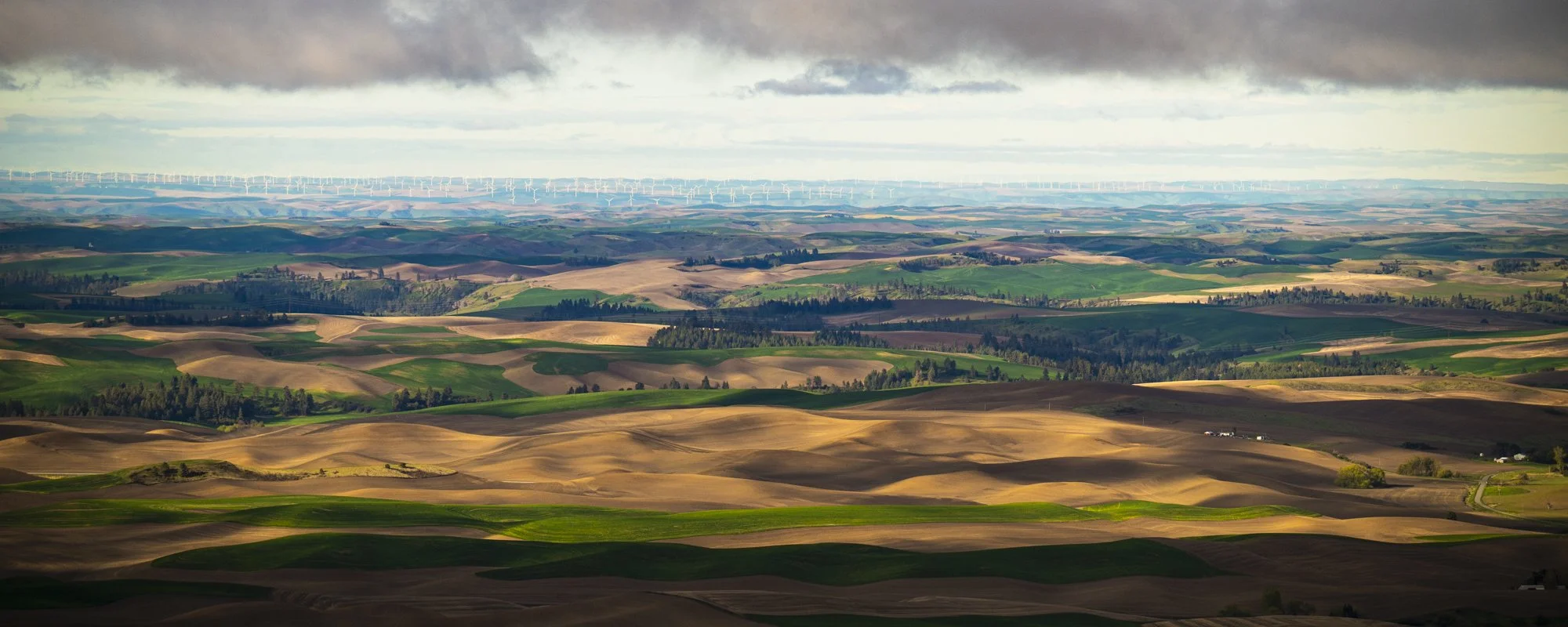 2024-04-27 Palouse-6323.jpg