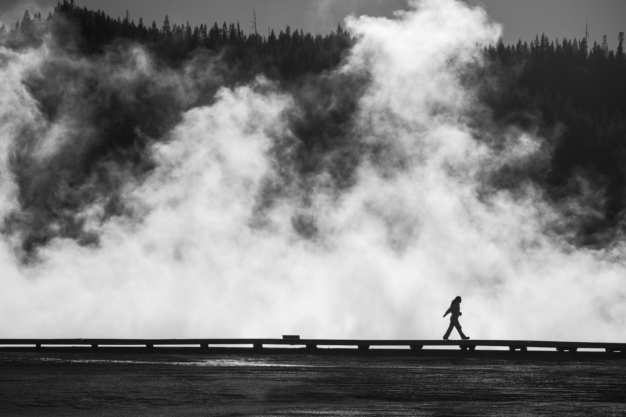 2024-10-20 Yellowstone-5454.jpg