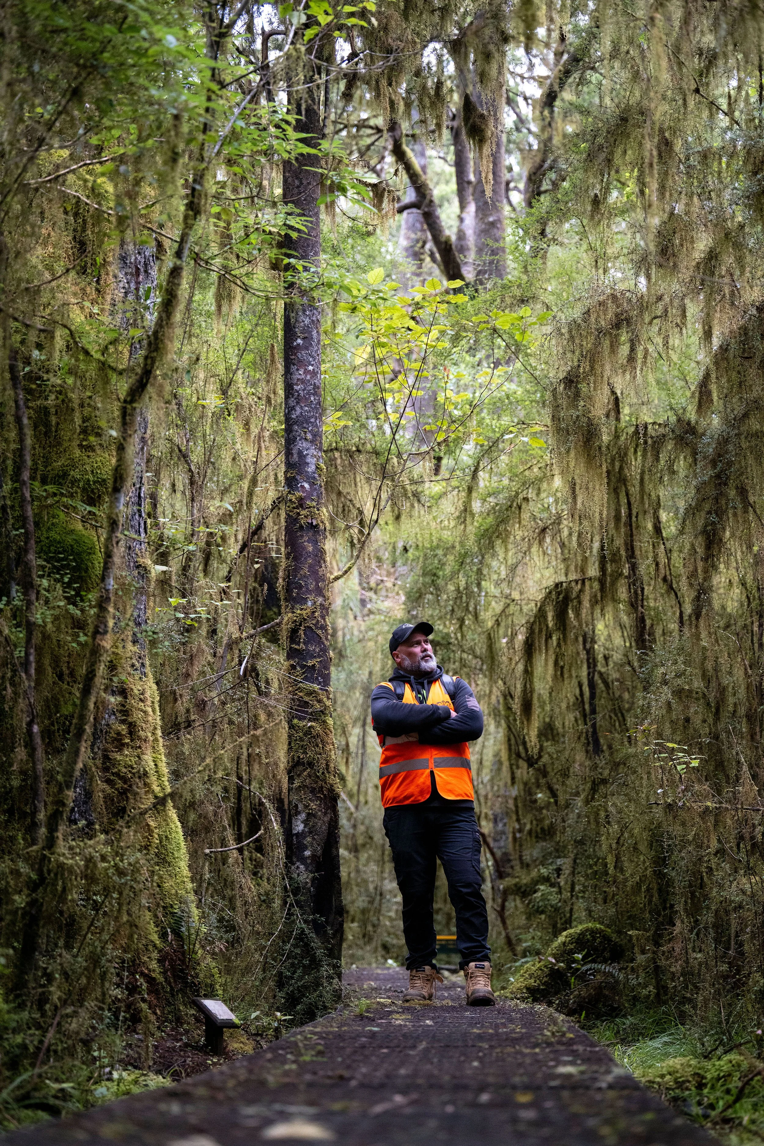 2024-02-12 Big Totara-7464-3.jpg