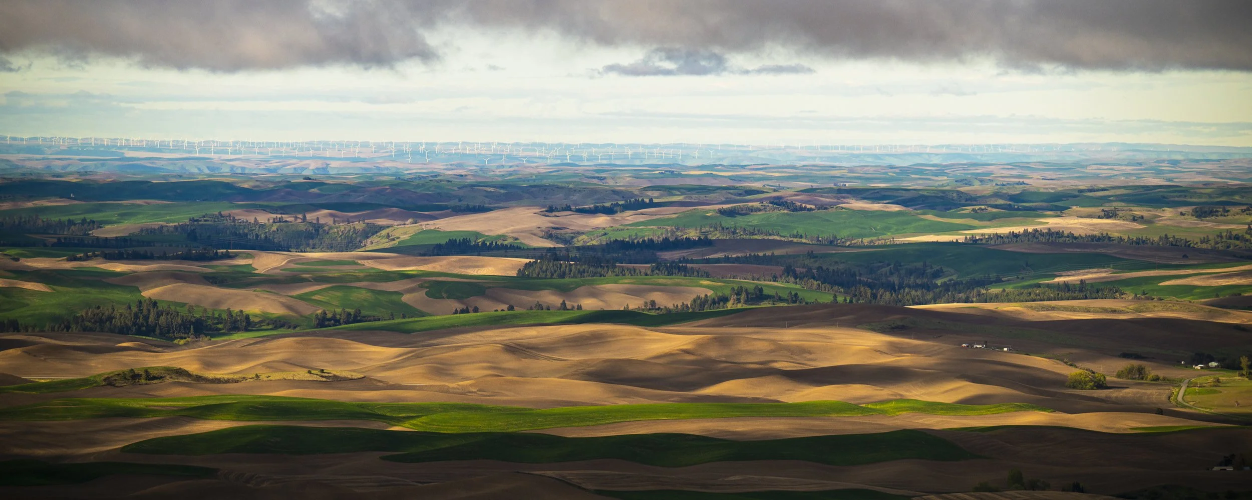 2024-04-27 Palouse-6323.jpg