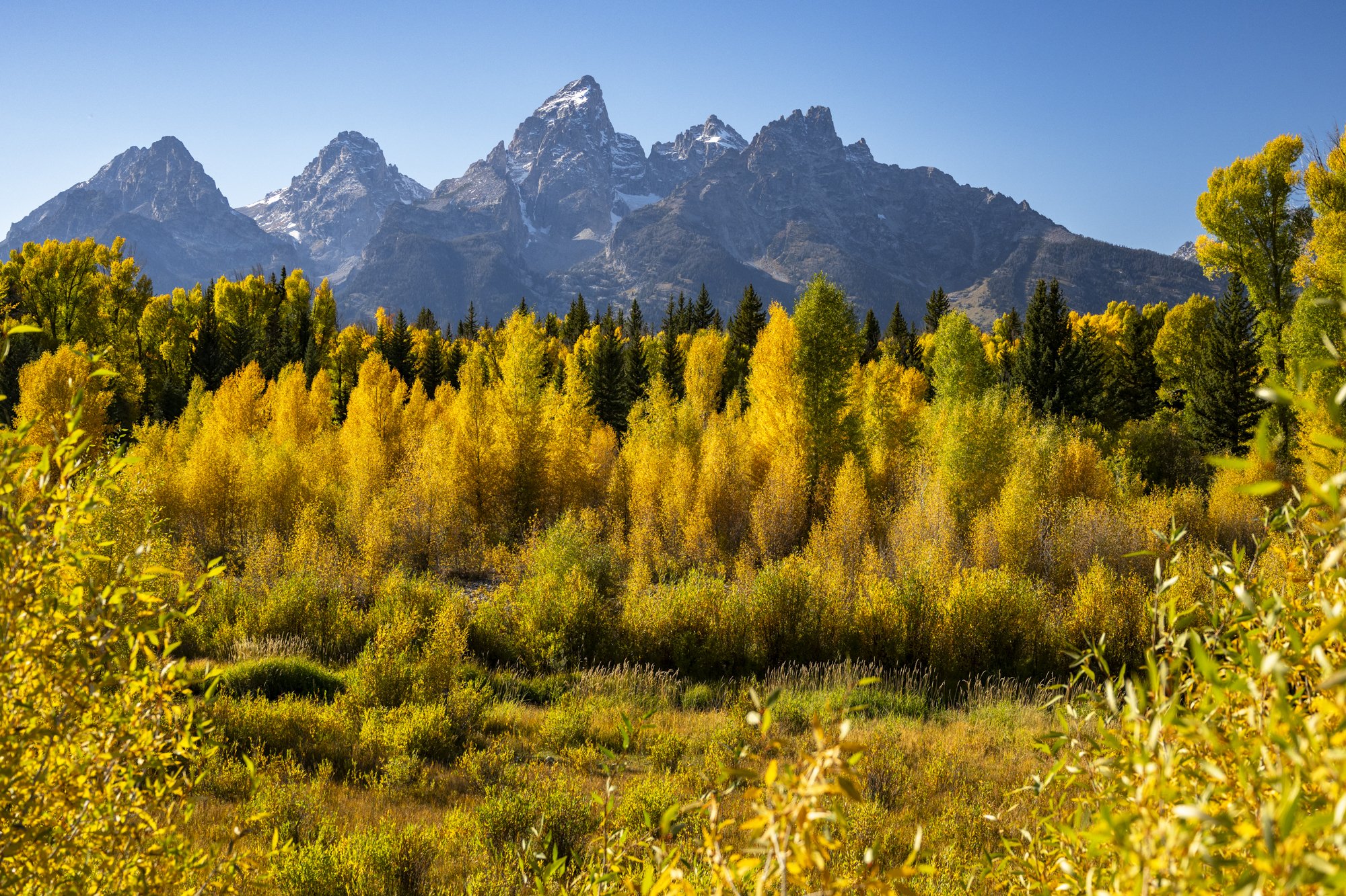 2024-09-24 Jackson-4769-2.jpg