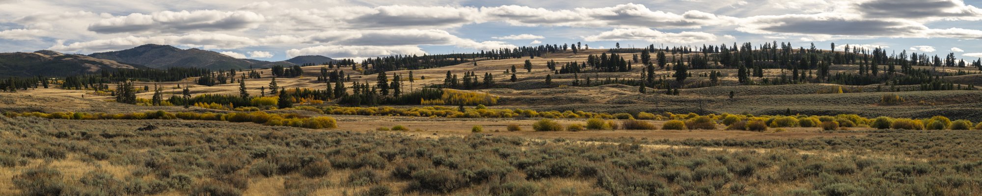 2024-09-23 Yellowstone-4084-Pano.jpg