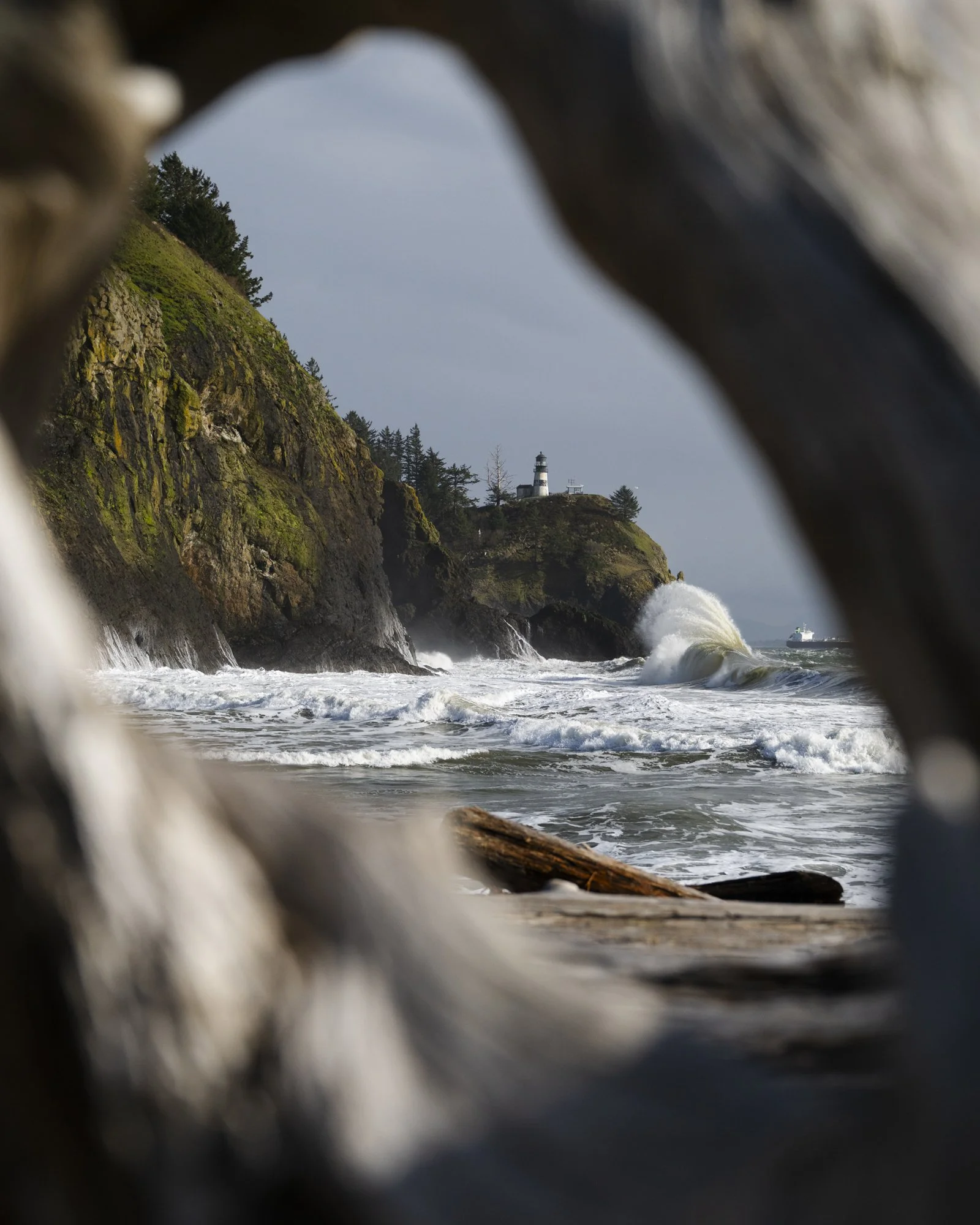 2024-03-12 Waikiki Beach-5729.jpg
