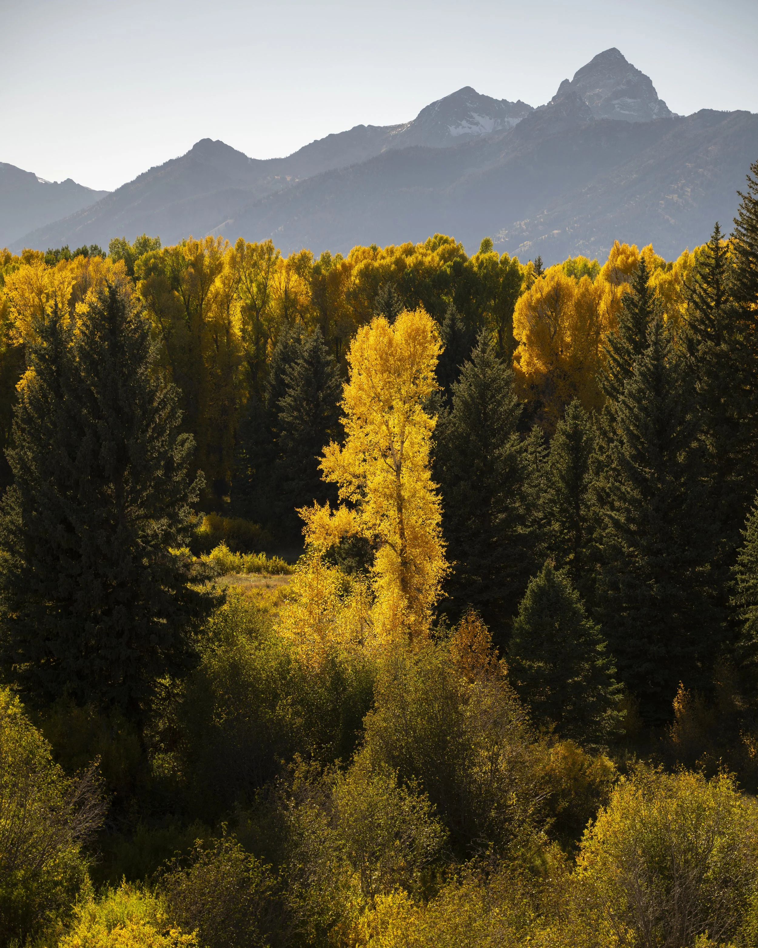 2024-09-24 Jackson-4850.jpg