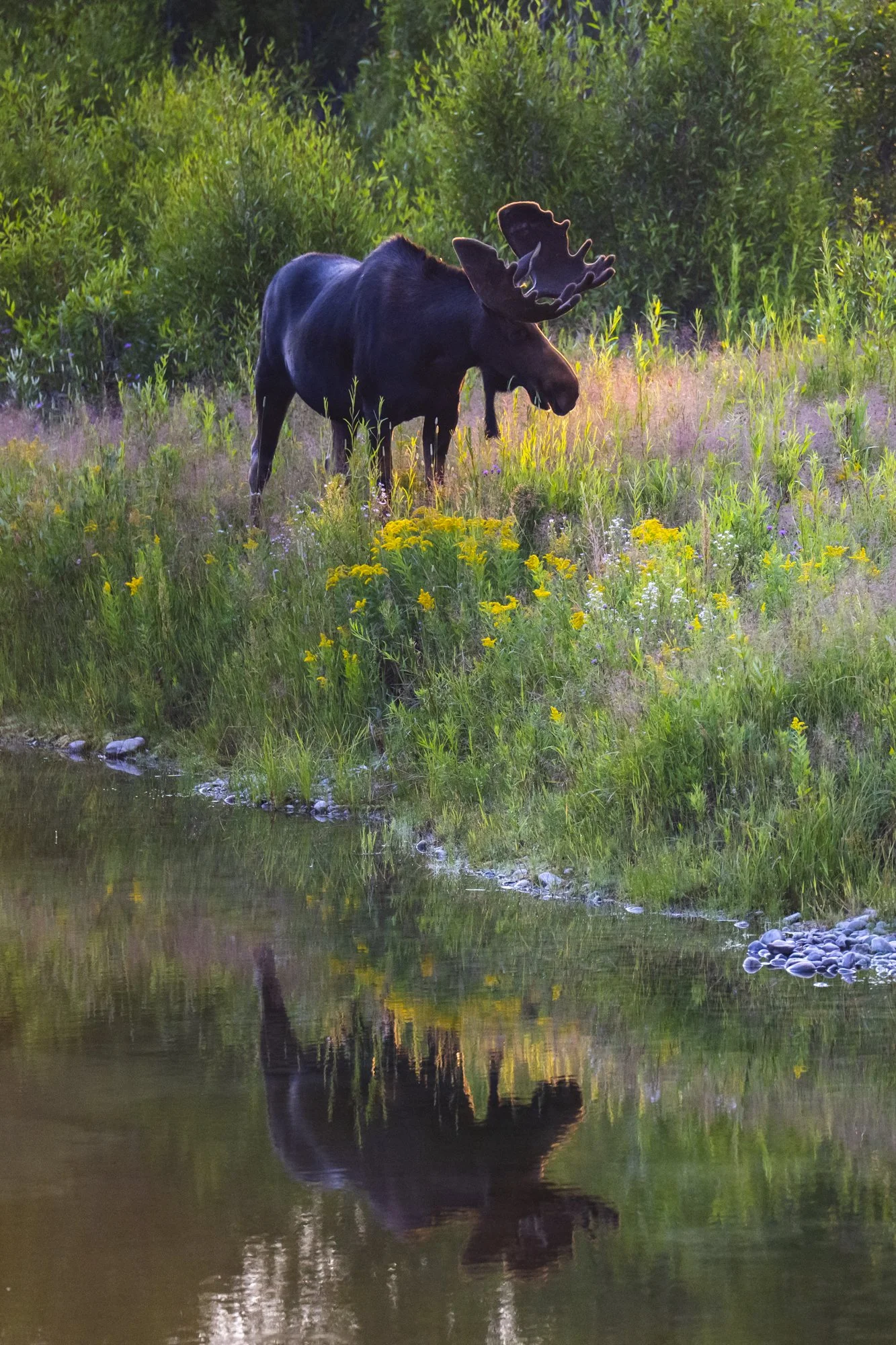 2024-08-10 Tetons-97.jpg