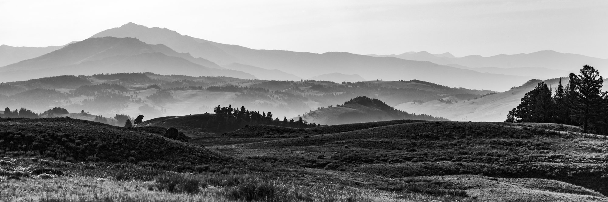 2025-08-23 Yellowstone-6073-Pano.jpg