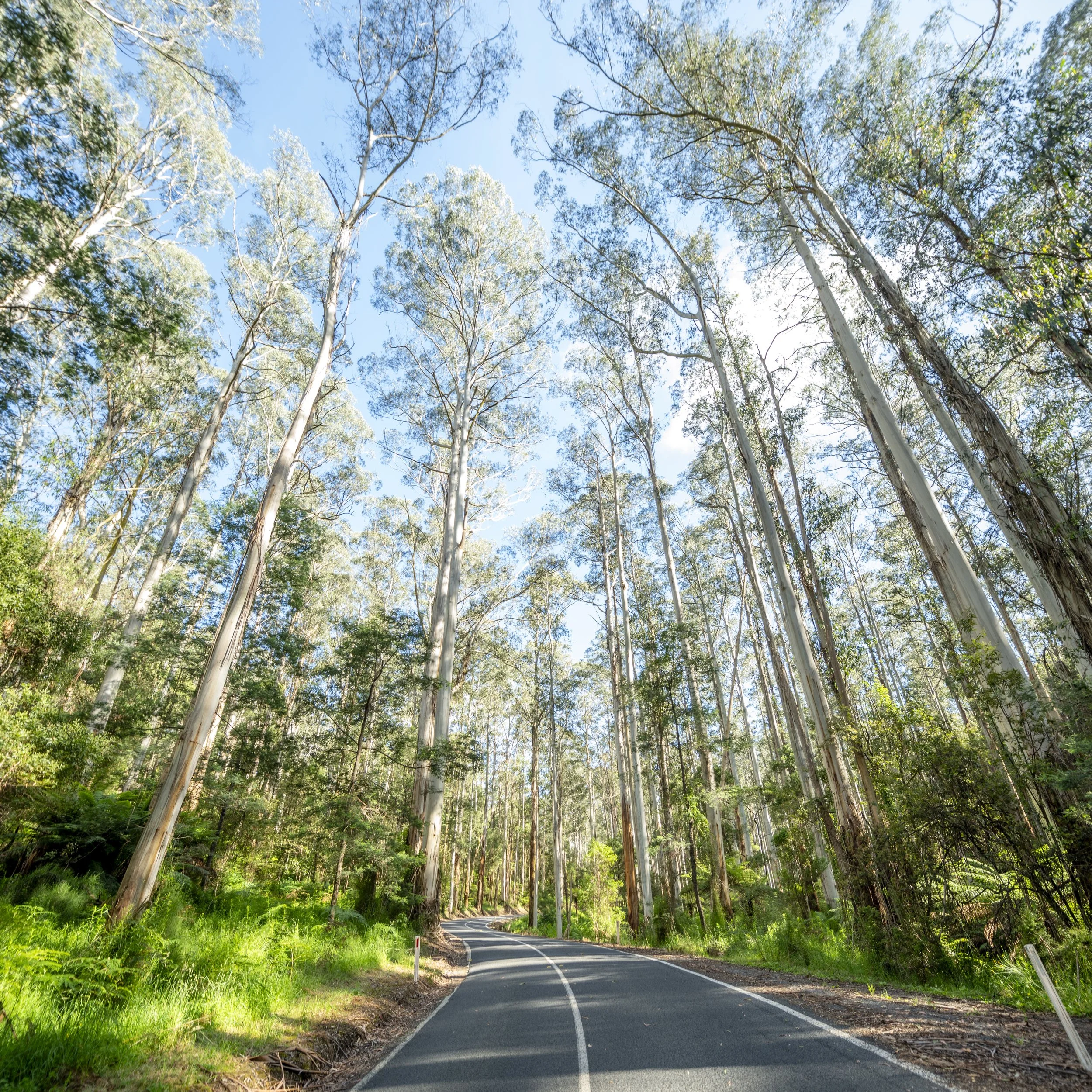 2023-12-06 Australia-9635-Pano.jpg