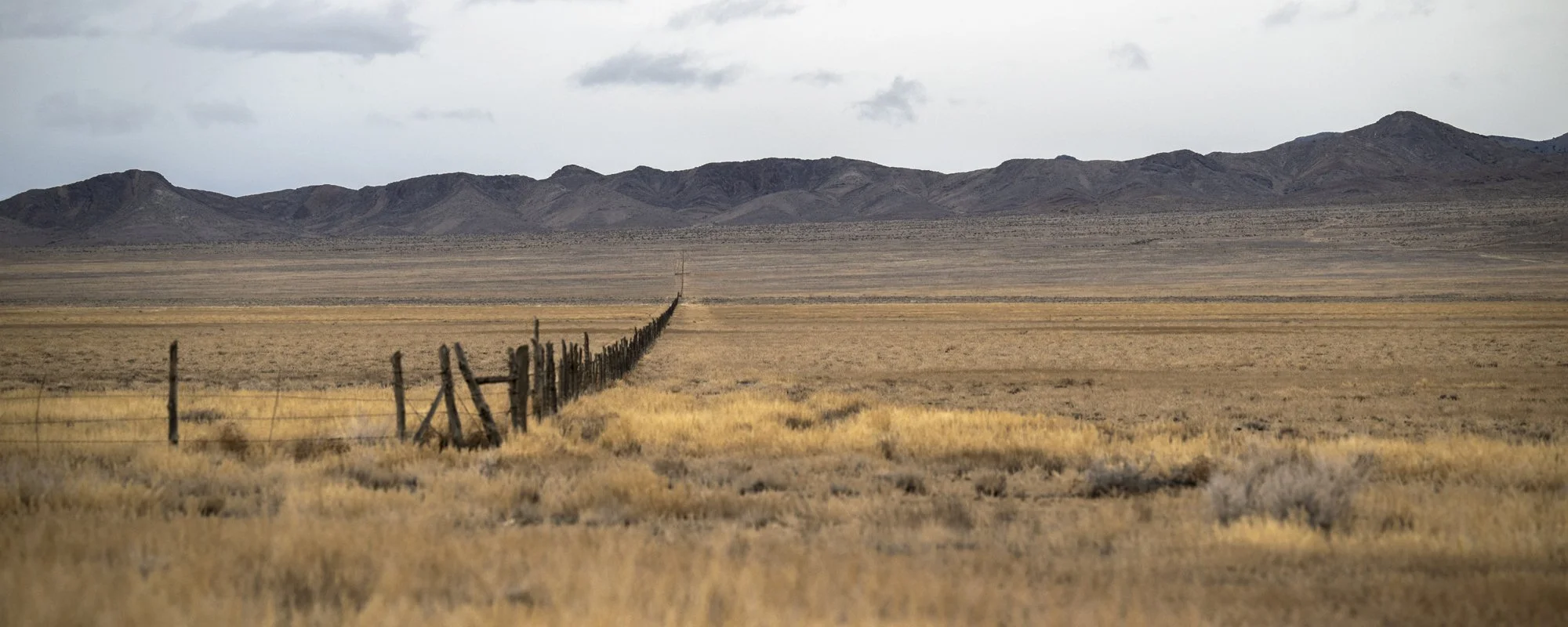 2024-03-30 Highway 50-8197.jpg