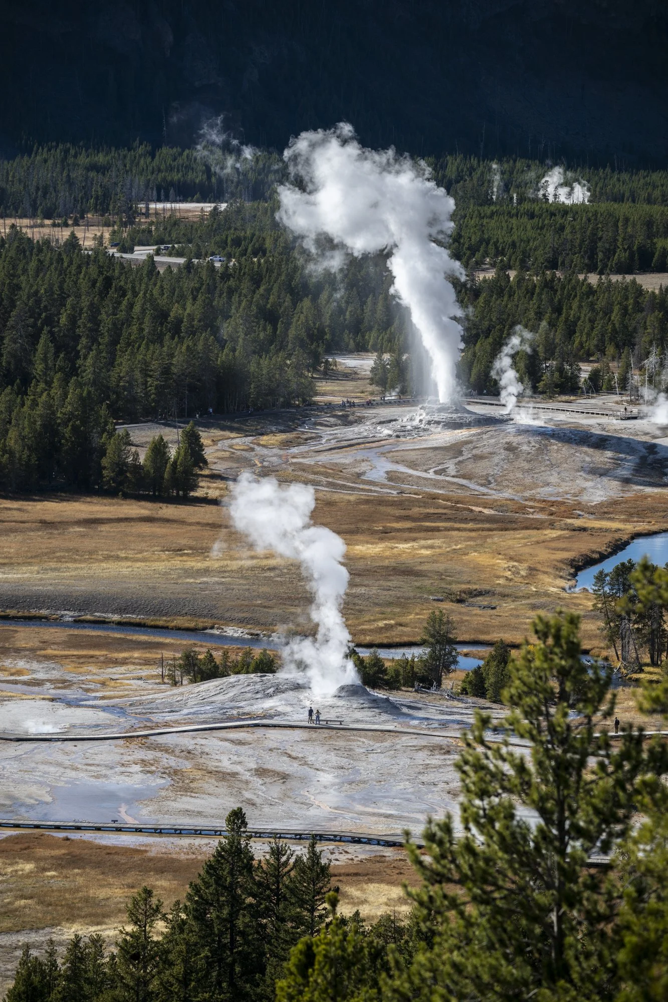 2024-10-20 Yellowstone-5157.jpg