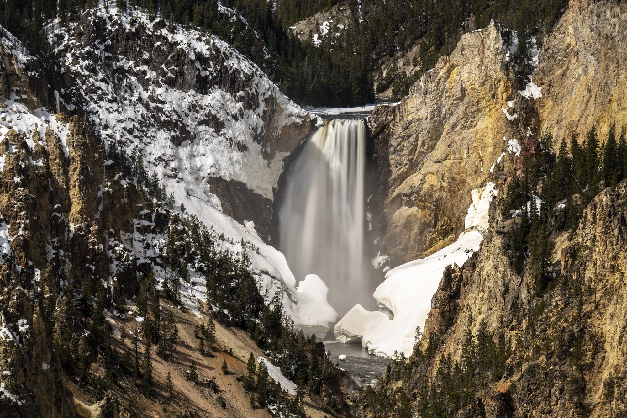 2024-04-23 Yellowstone-4076.jpg