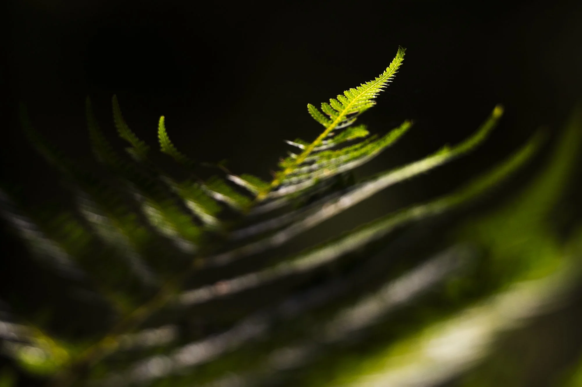 2023-12-06 Australia-9946.jpg