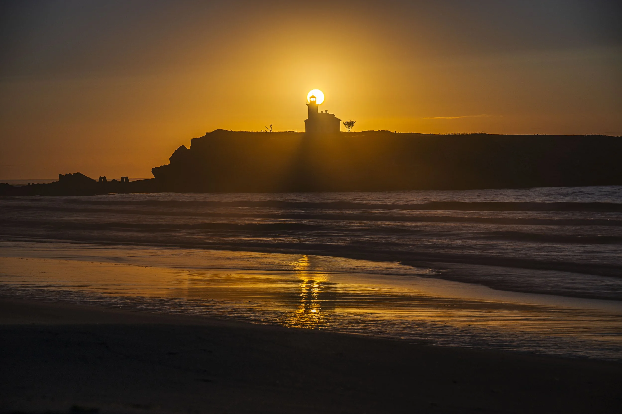 2024-07-24 Oregon Coast-4362.jpg