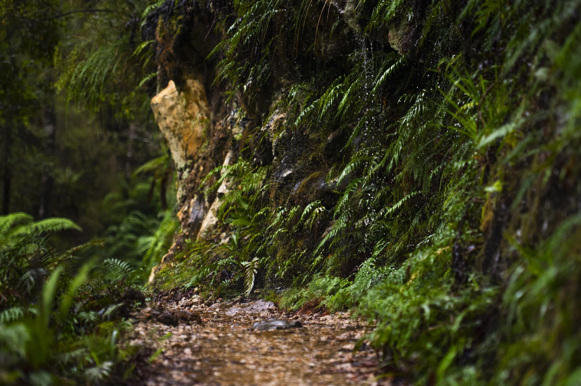 2022-04-29 OGR-2176.jpg