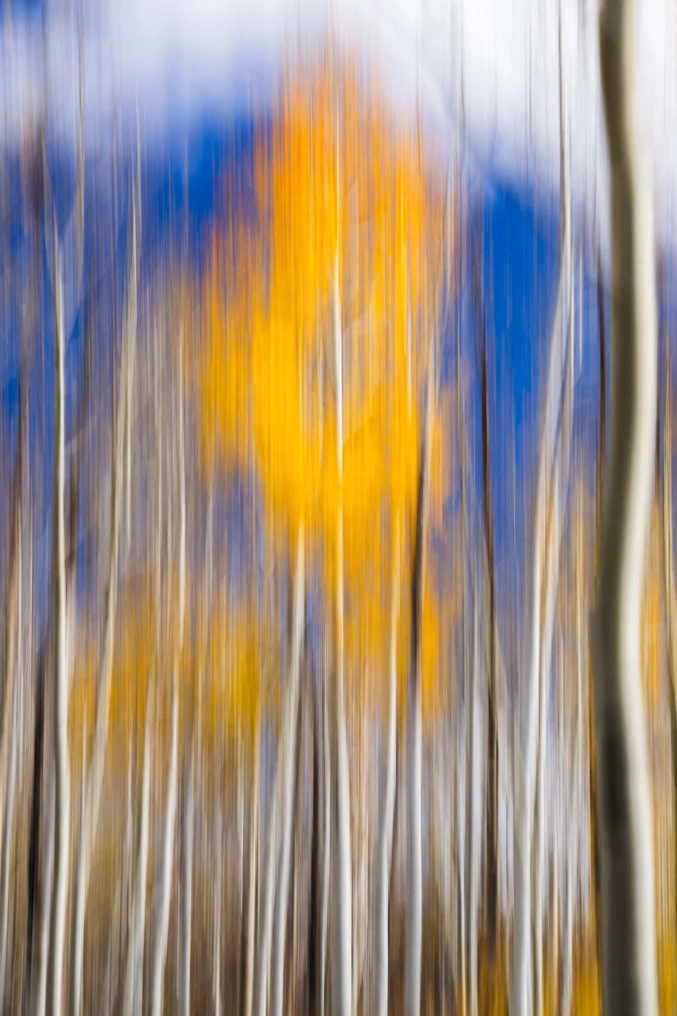 2025-10-12 American Fork Canyon-9640.jpg
