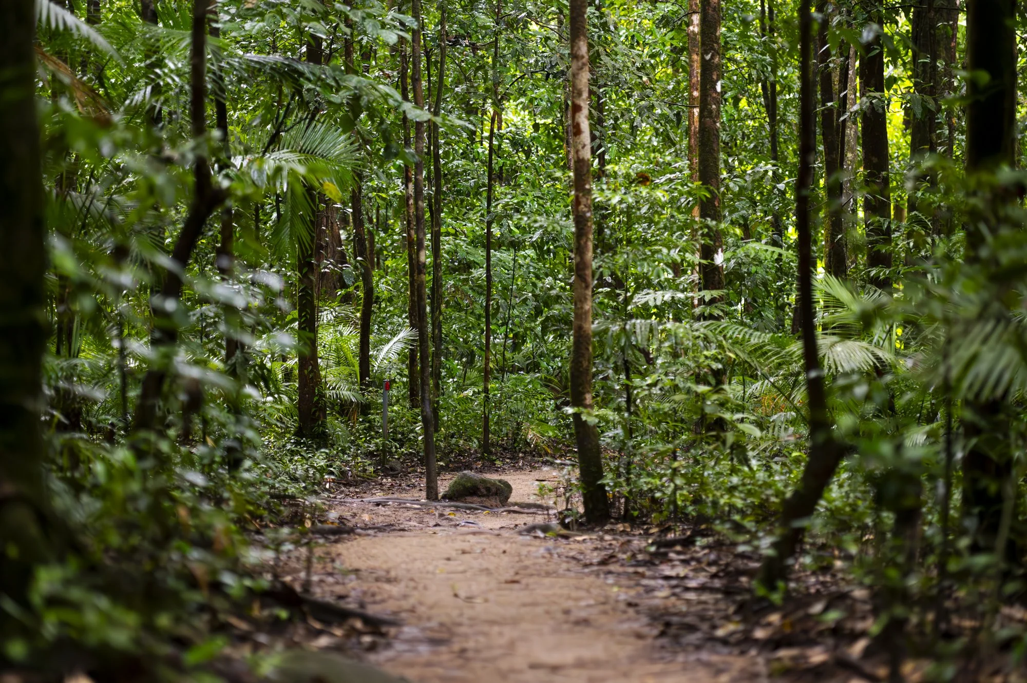 2023-05-24 Cairns-7309-Enhanced-NR.jpg