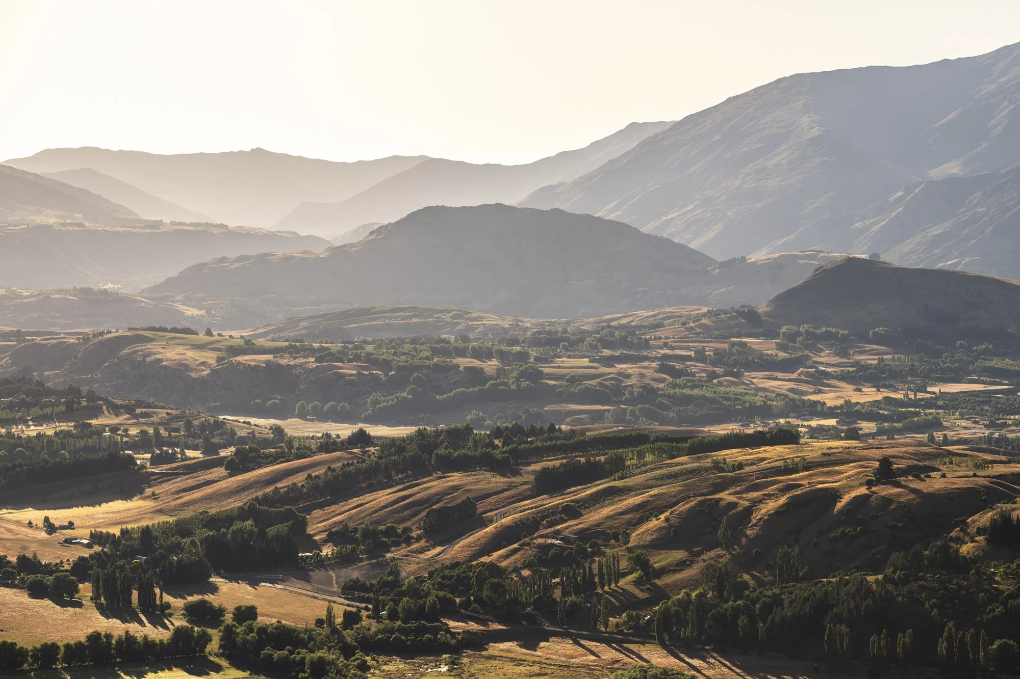 2023-01-16 Dylan Crane-12642-Enhanced-NR.jpg