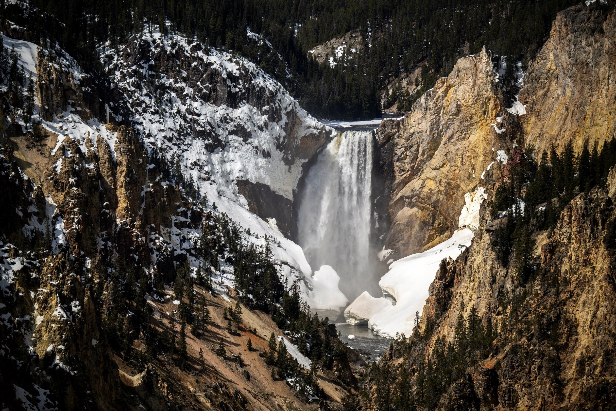 2024-04-23 Yellowstone-4070.jpg