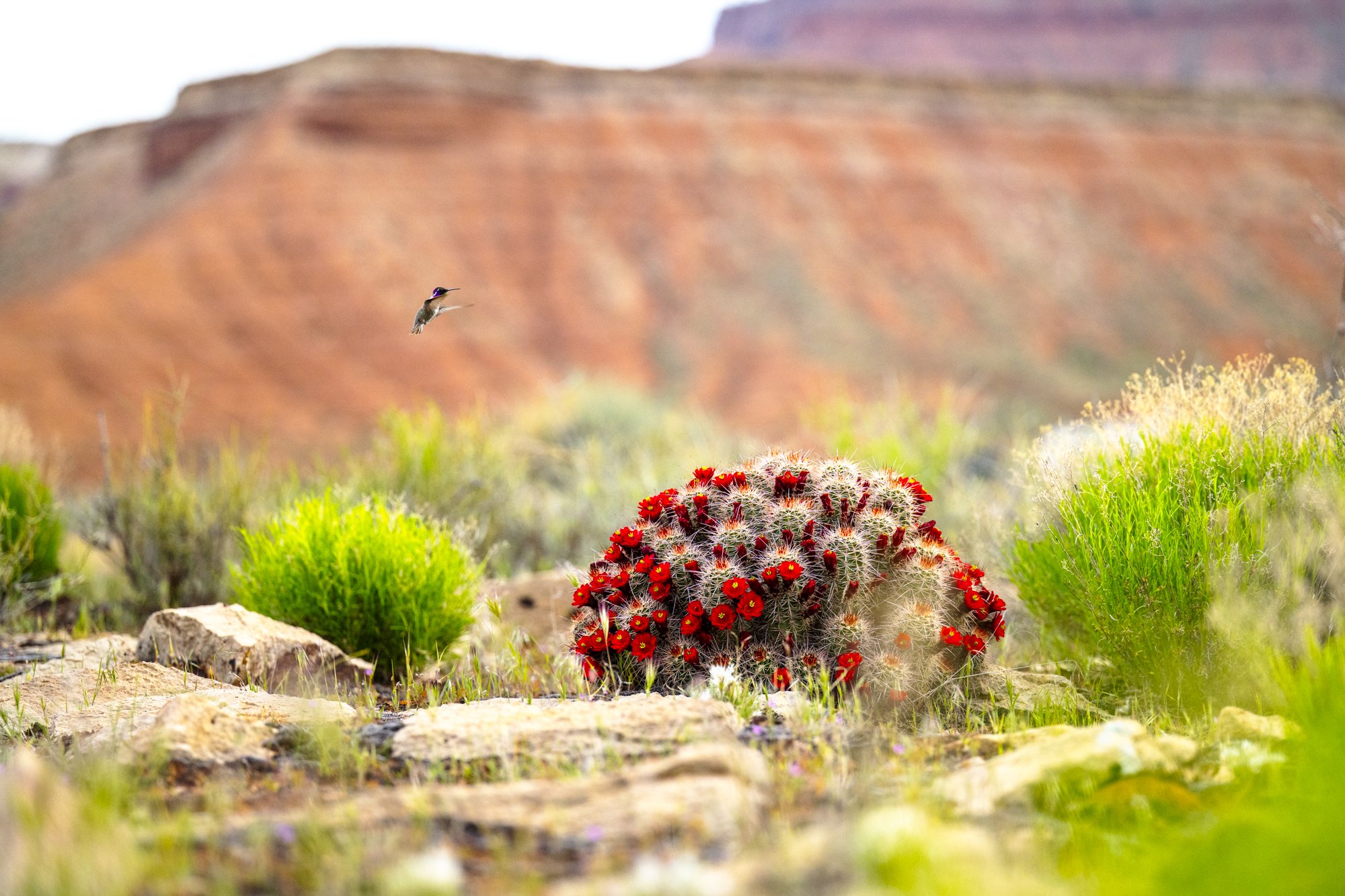 2024-04-19 St. George-1259.jpg