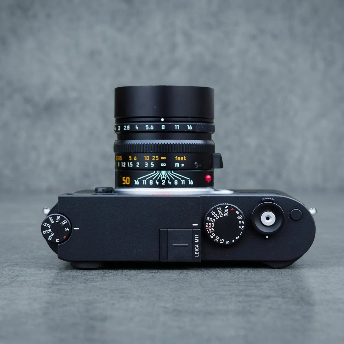 Leica M11 Review