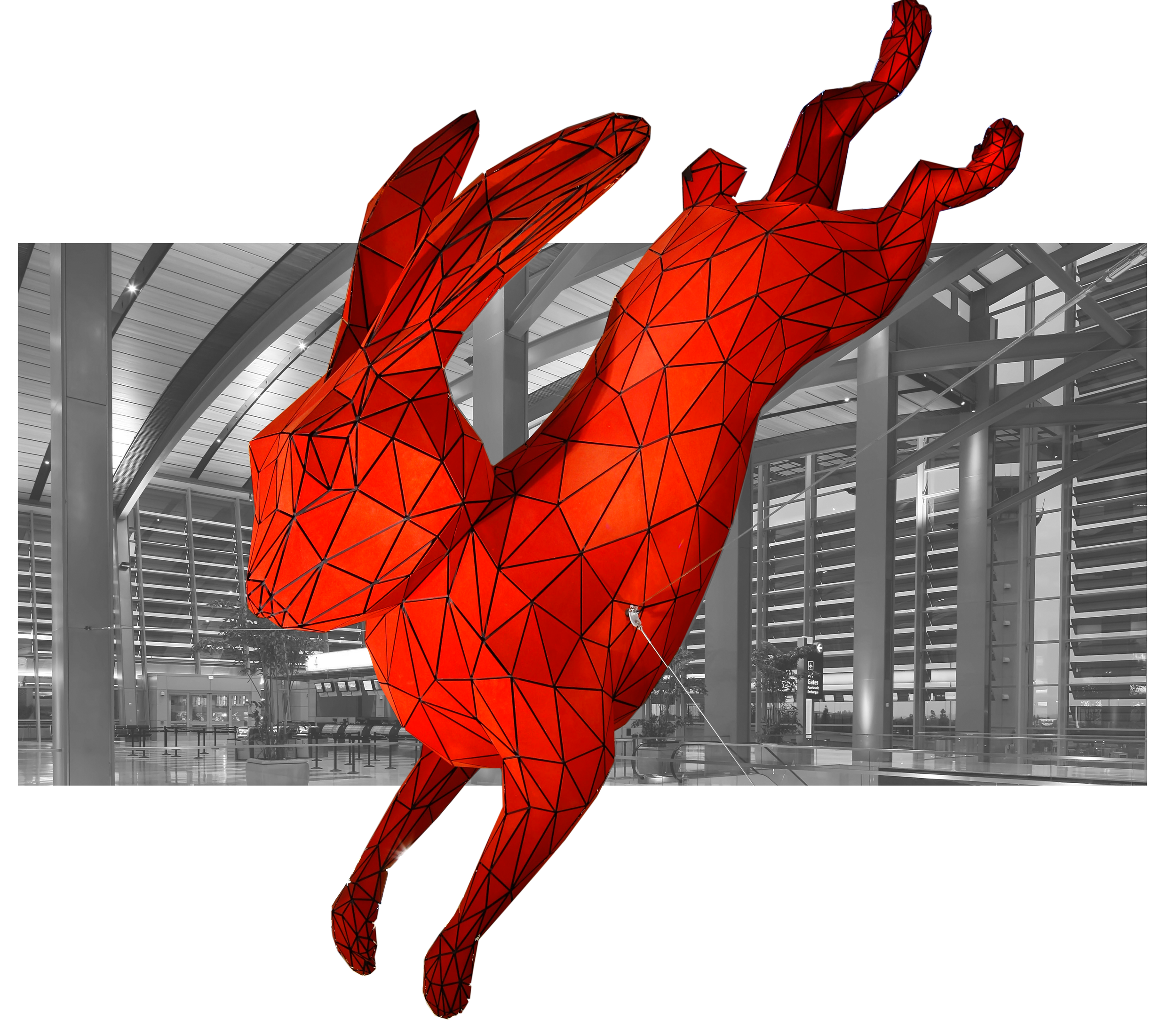 Red Rabbit Project - red to grey rabbit 3.png