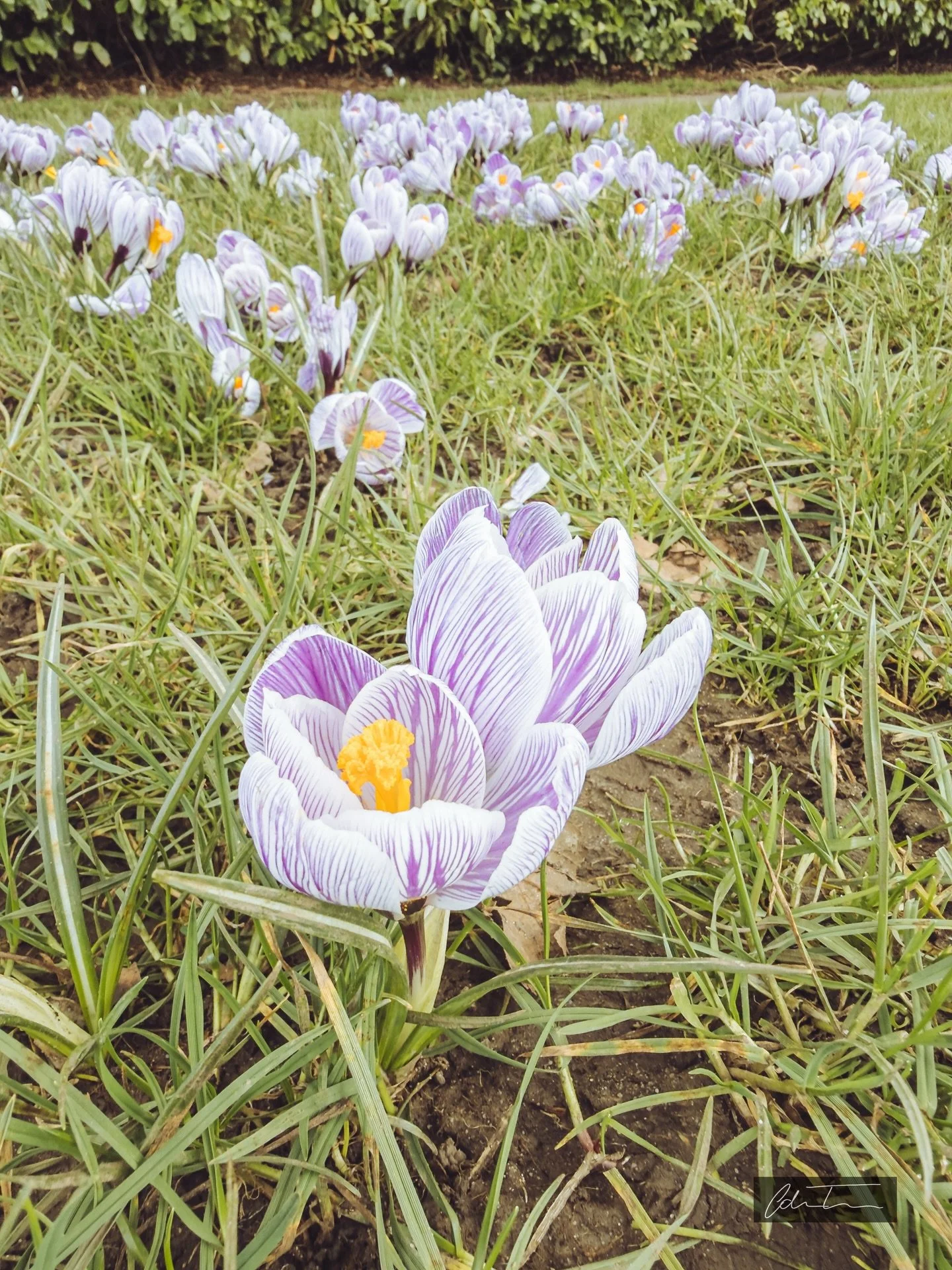 Could spring be here? 🤔🤷&zwj;♂️
