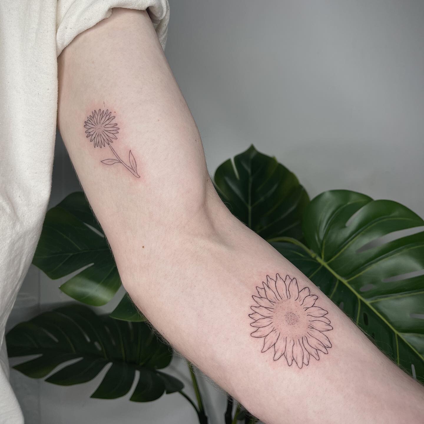 // a lovely little sunflower and aster flower done by @lucyvalentinatattoo 🖤🌻

#sunflower #sunflowertattoo #floraltattoo #astertattoo #flowertattoo #finelinetattoo  #tattooing #blackwork #blackworktattoo #blacktattoo #tattooer #tattooist #tattooart