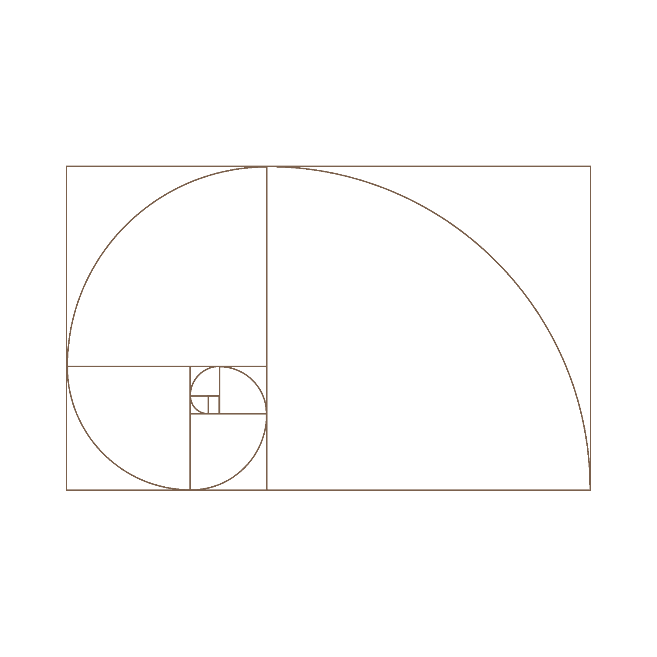The Golden Ratio PhiBrows Norwich