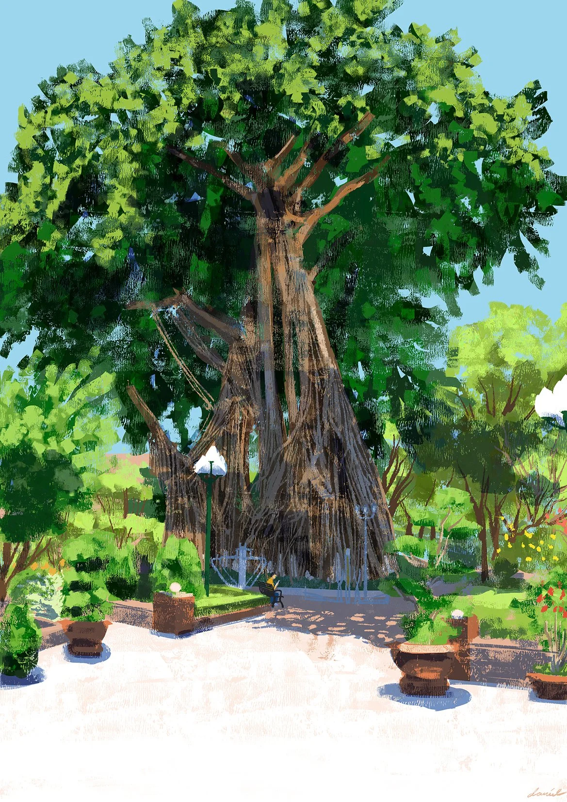 SG004 
The old banyan tree at Bach Tung Diep Park