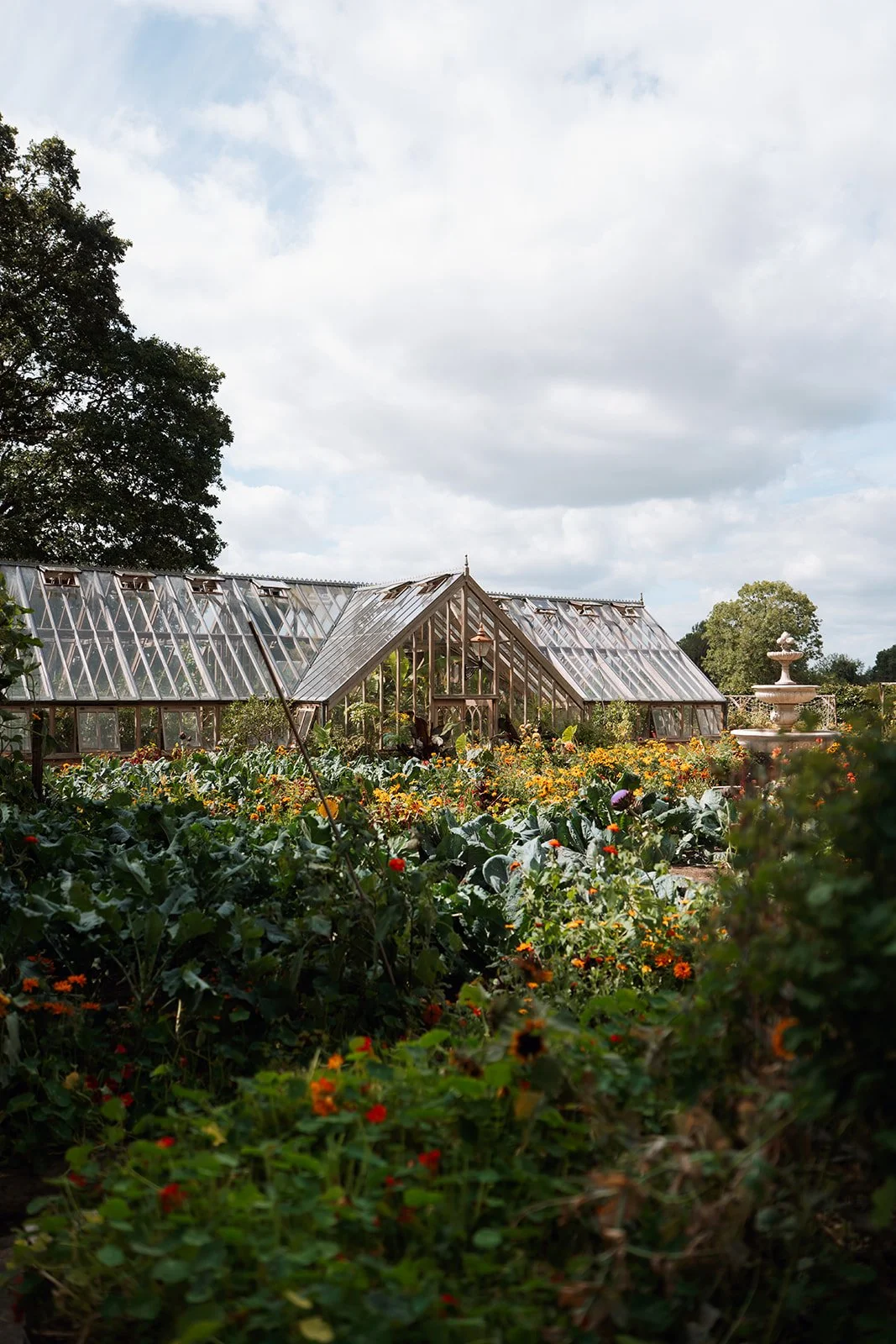 Jen and Sam-08-2025-07821-2.jpg