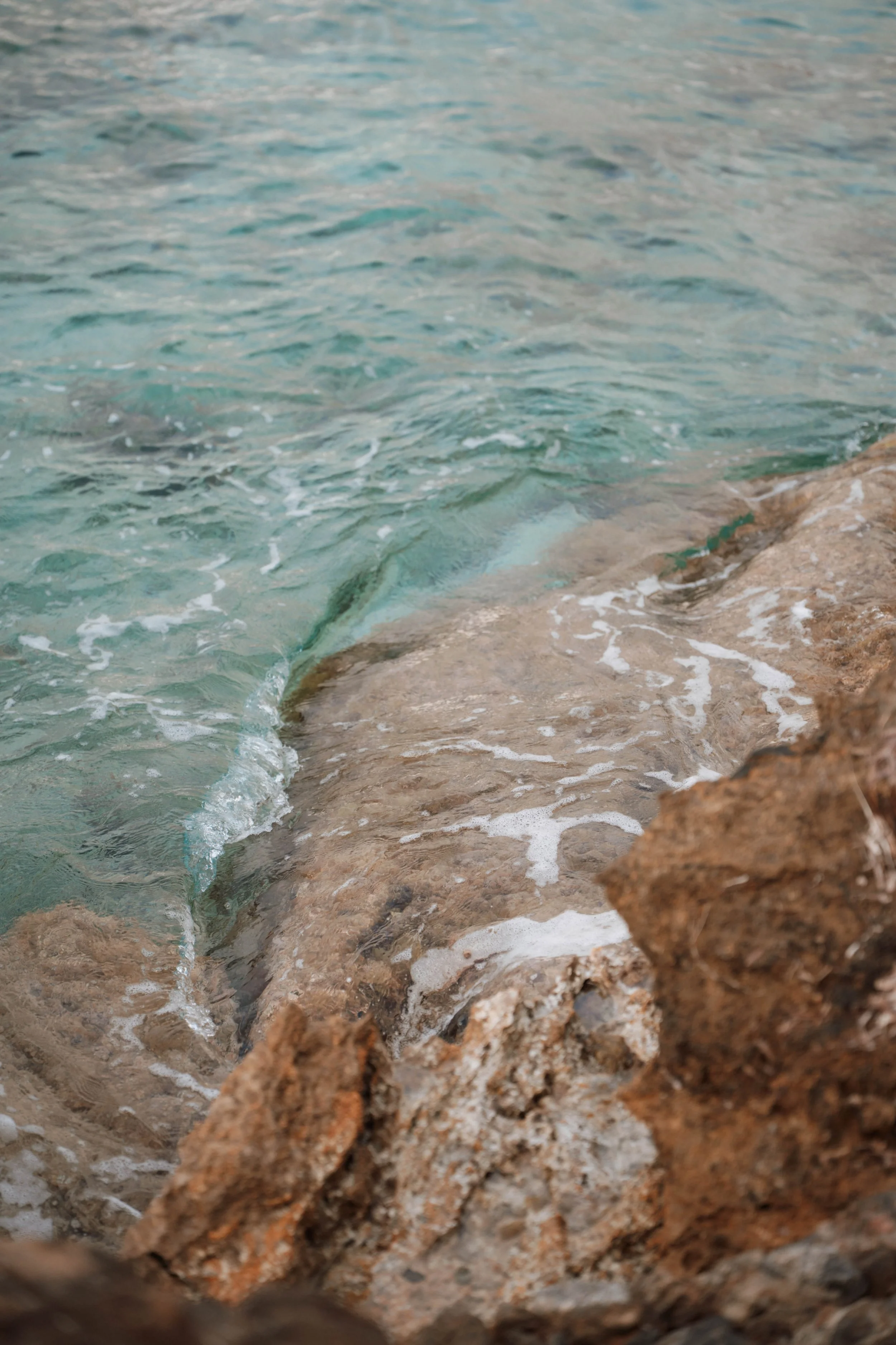 untitled shoot-04-2025-08152.JPG