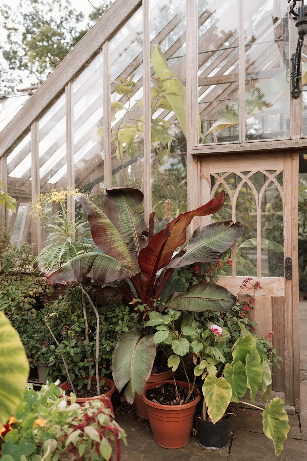 Jen and Sam-08-2025-07828-2.jpg