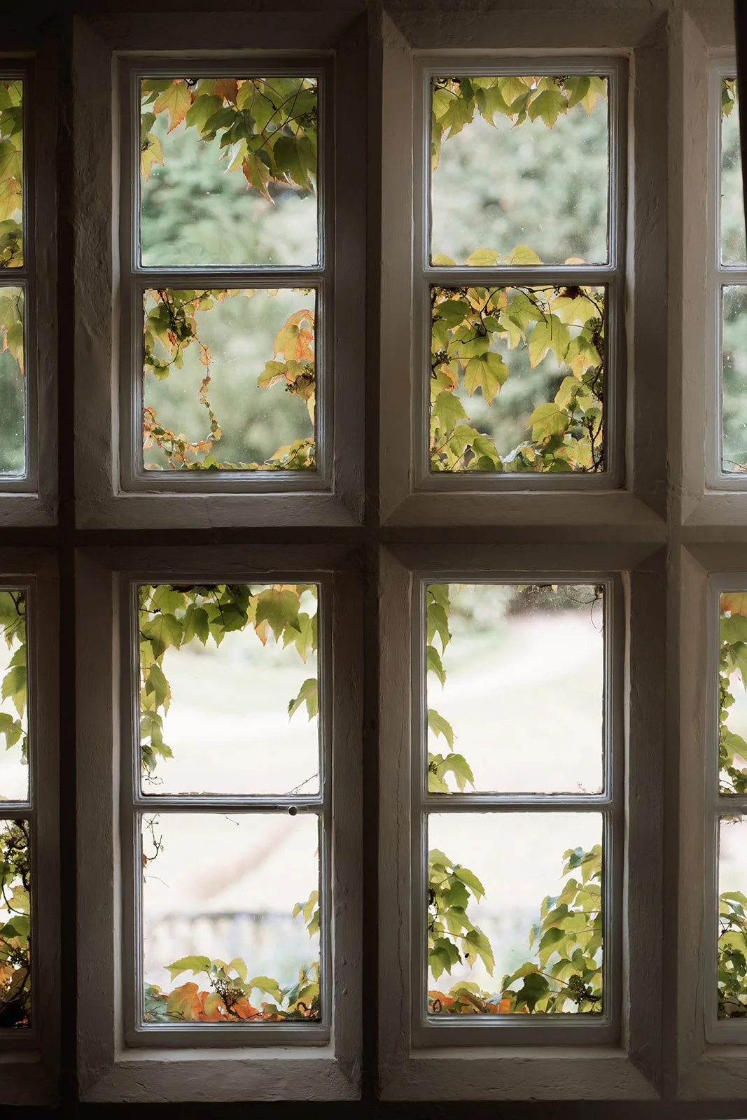 Jen and Sam-08-2025-07931-2.jpg