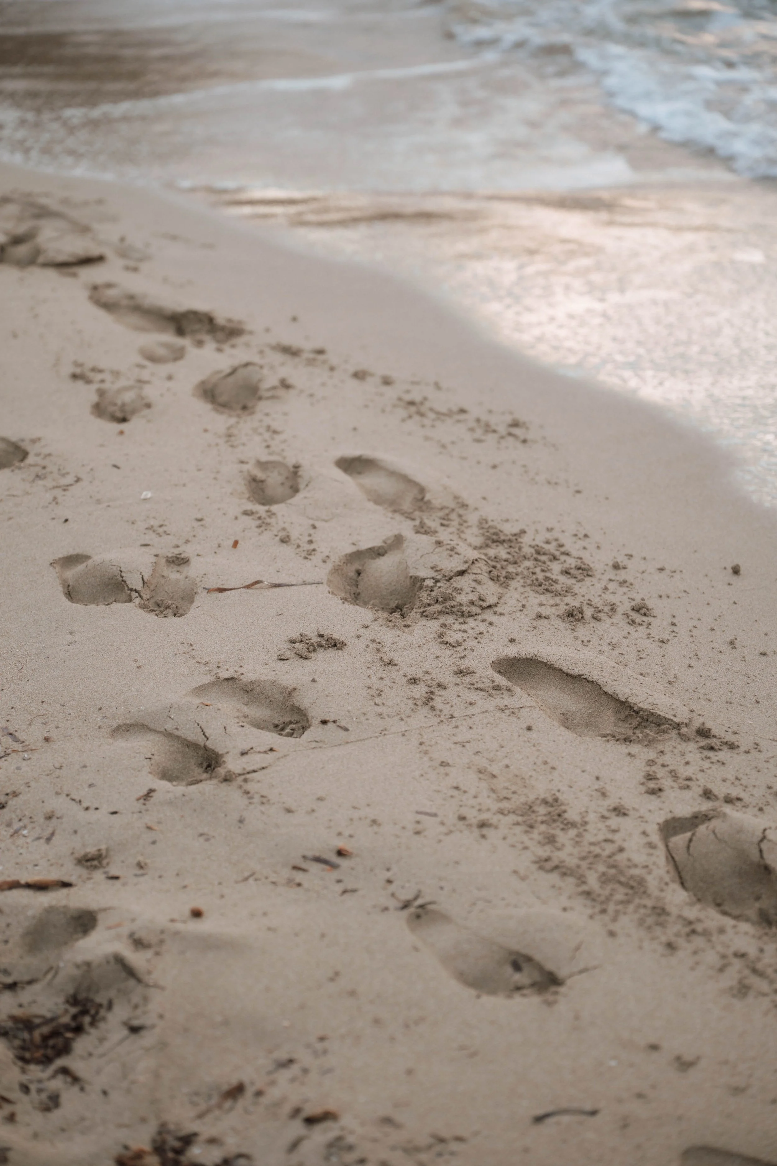 untitled shoot-04-2025-06518.JPG