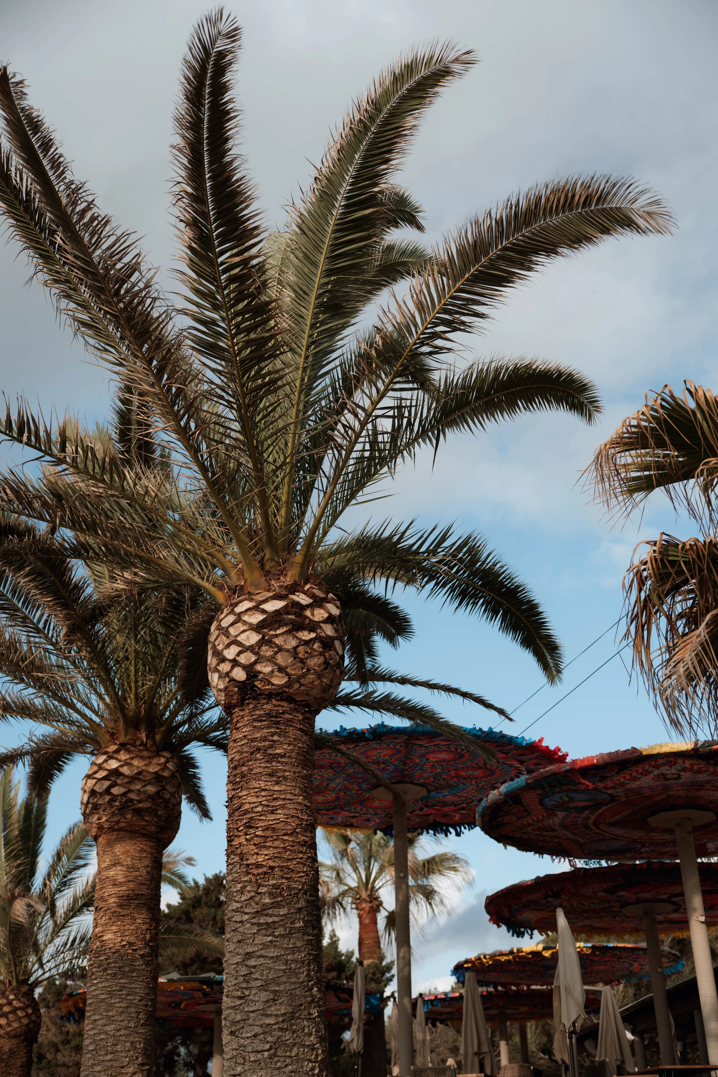 untitled shoot-04-2025-08412.JPG