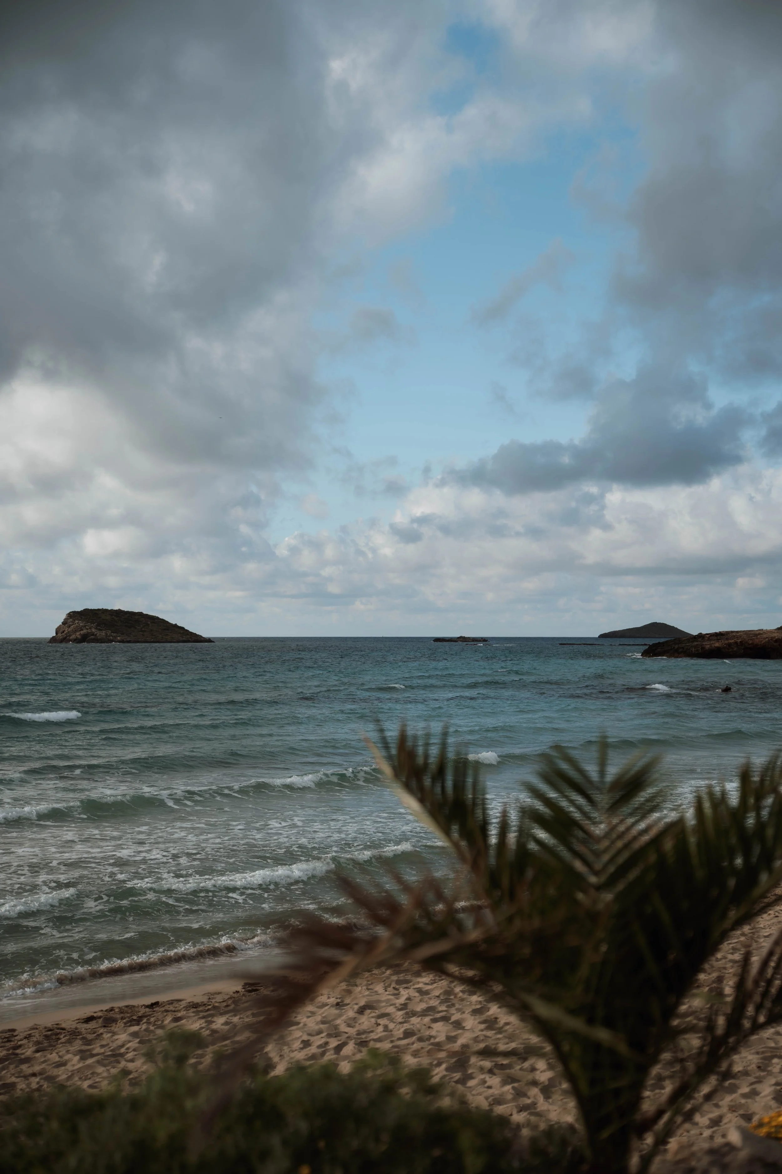 untitled shoot-04-2025-08409.JPG