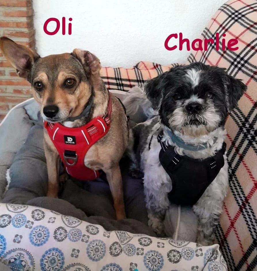 Charlie and Oli named 3.jpg