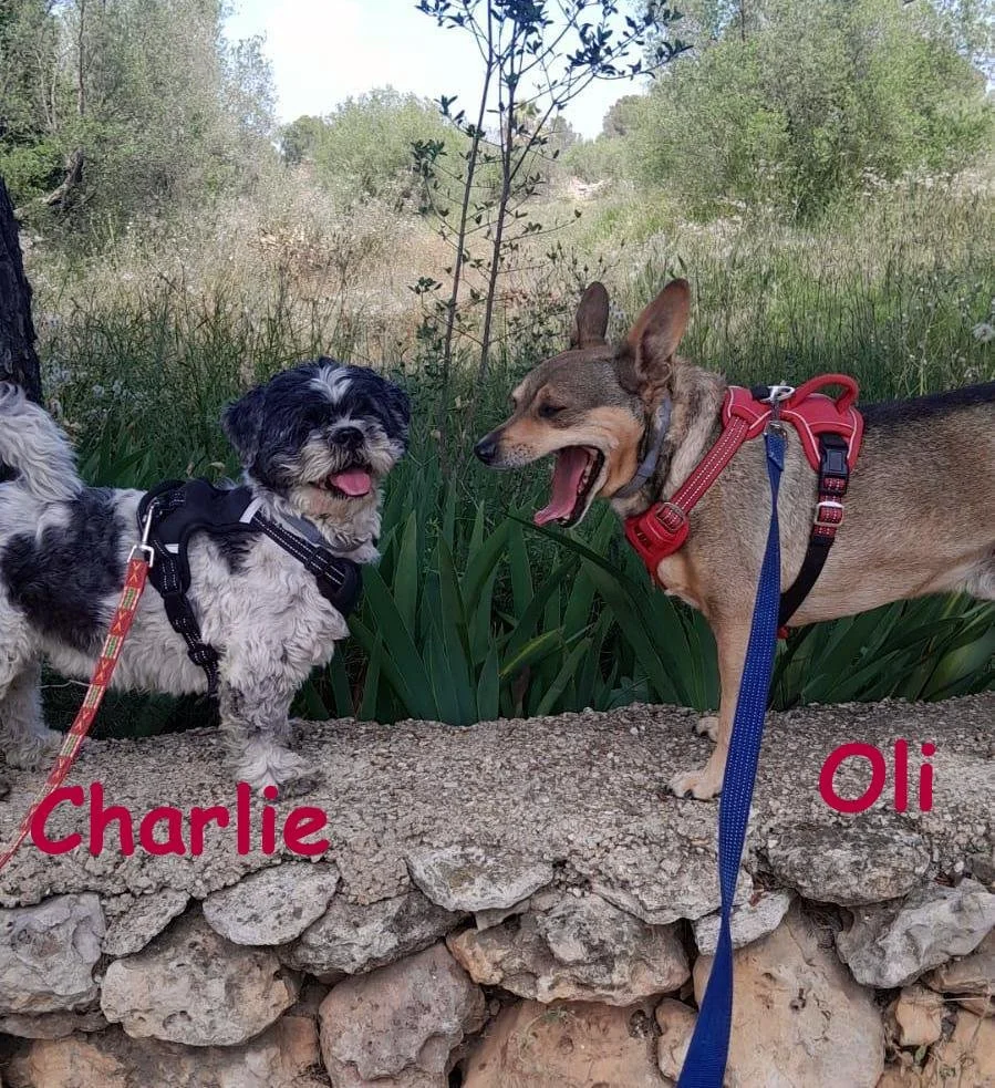 Charlie and Oli named 1.jpg