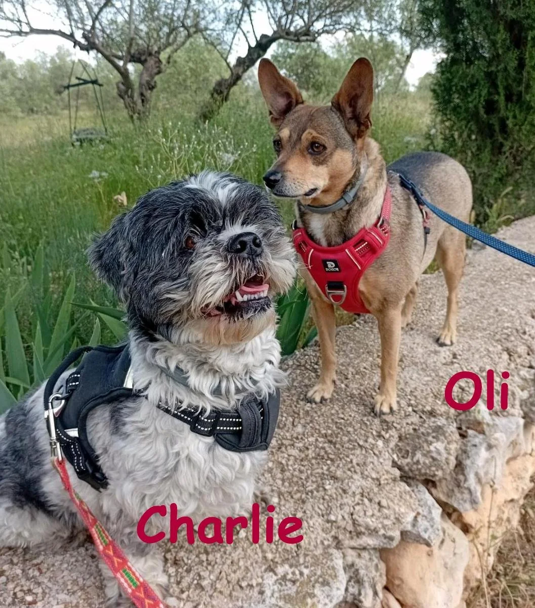 Charlie and Oli named 2.jpg